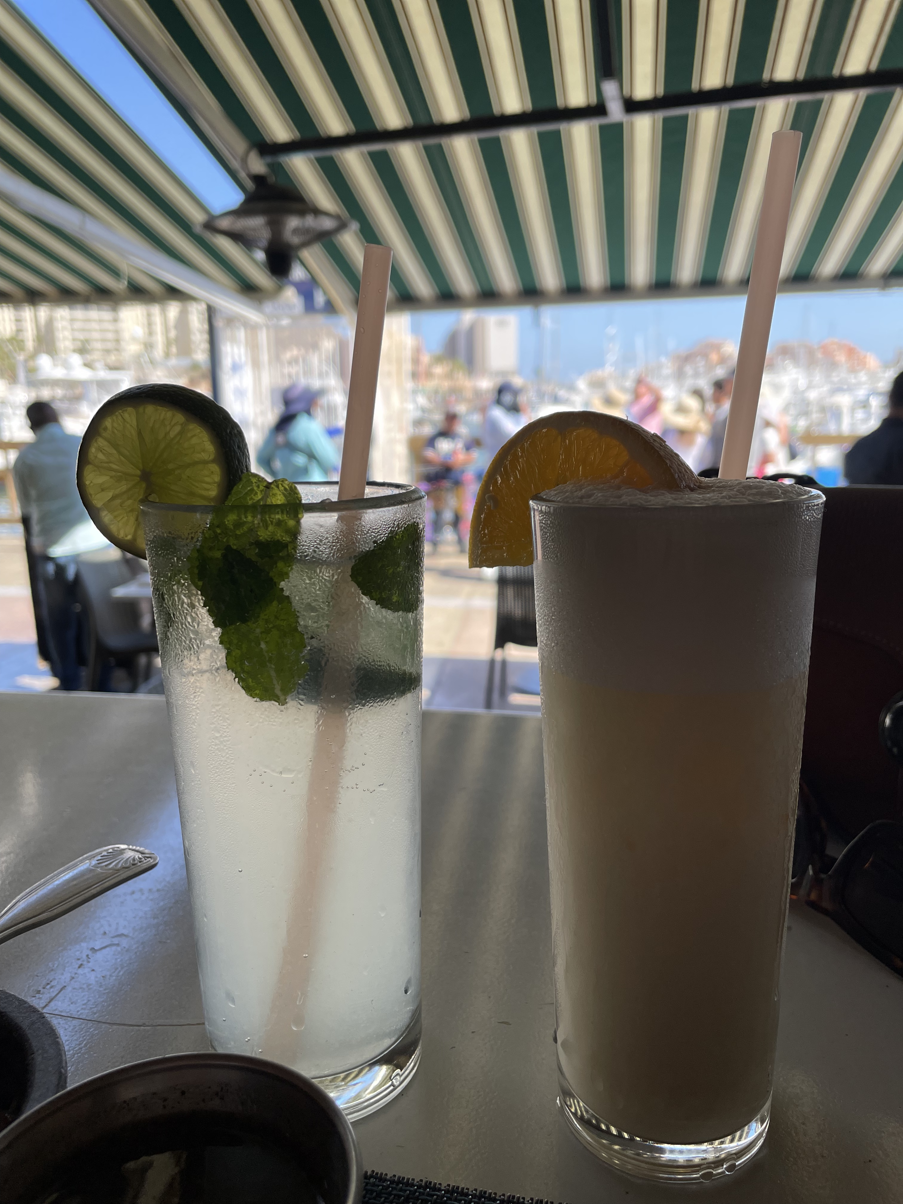 Vibrant Cabo San Lucas Marina Restaurant image 8