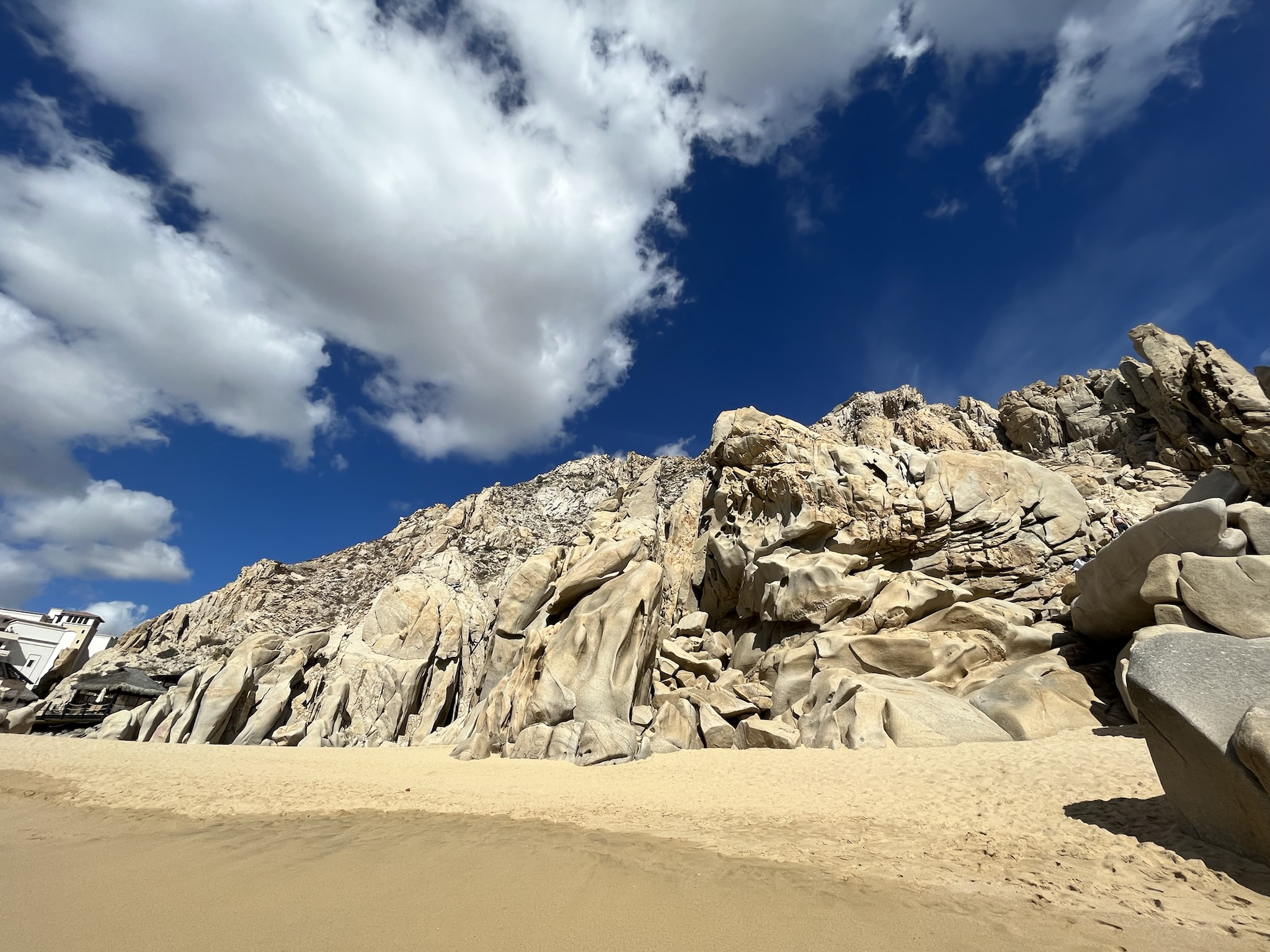 Vibrant Cabo San Lucas Marina Restaurant image 10