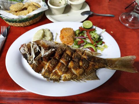 El Pescador image 4