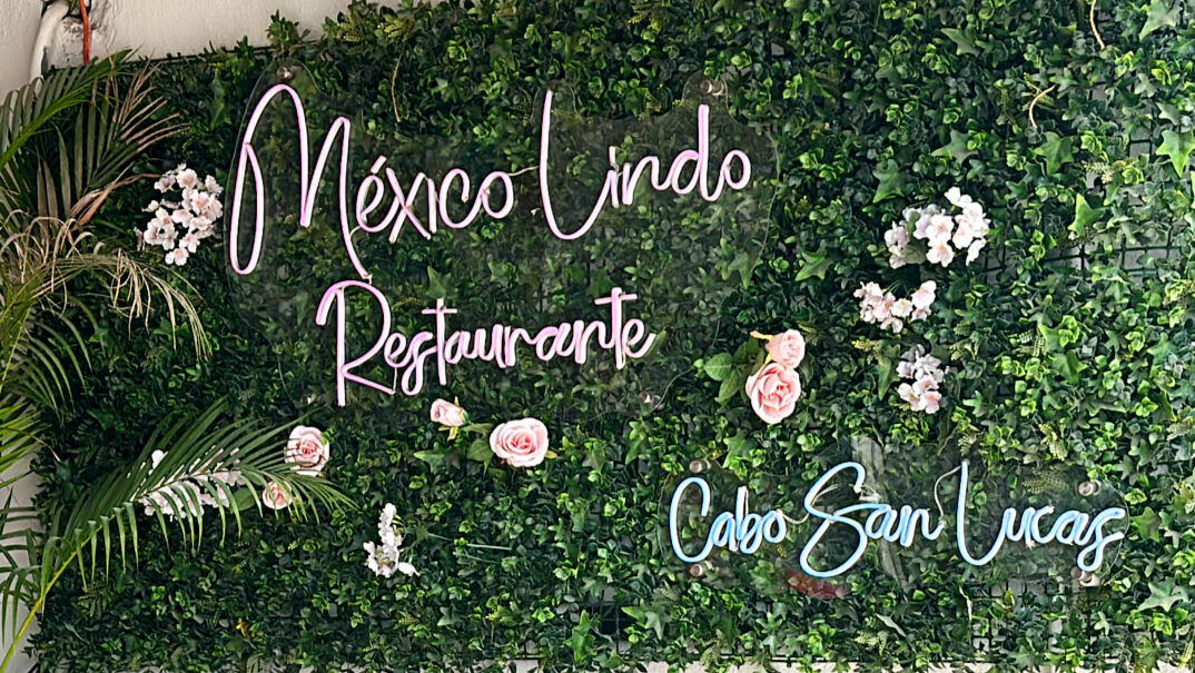 México Lindo Restaurante image 3