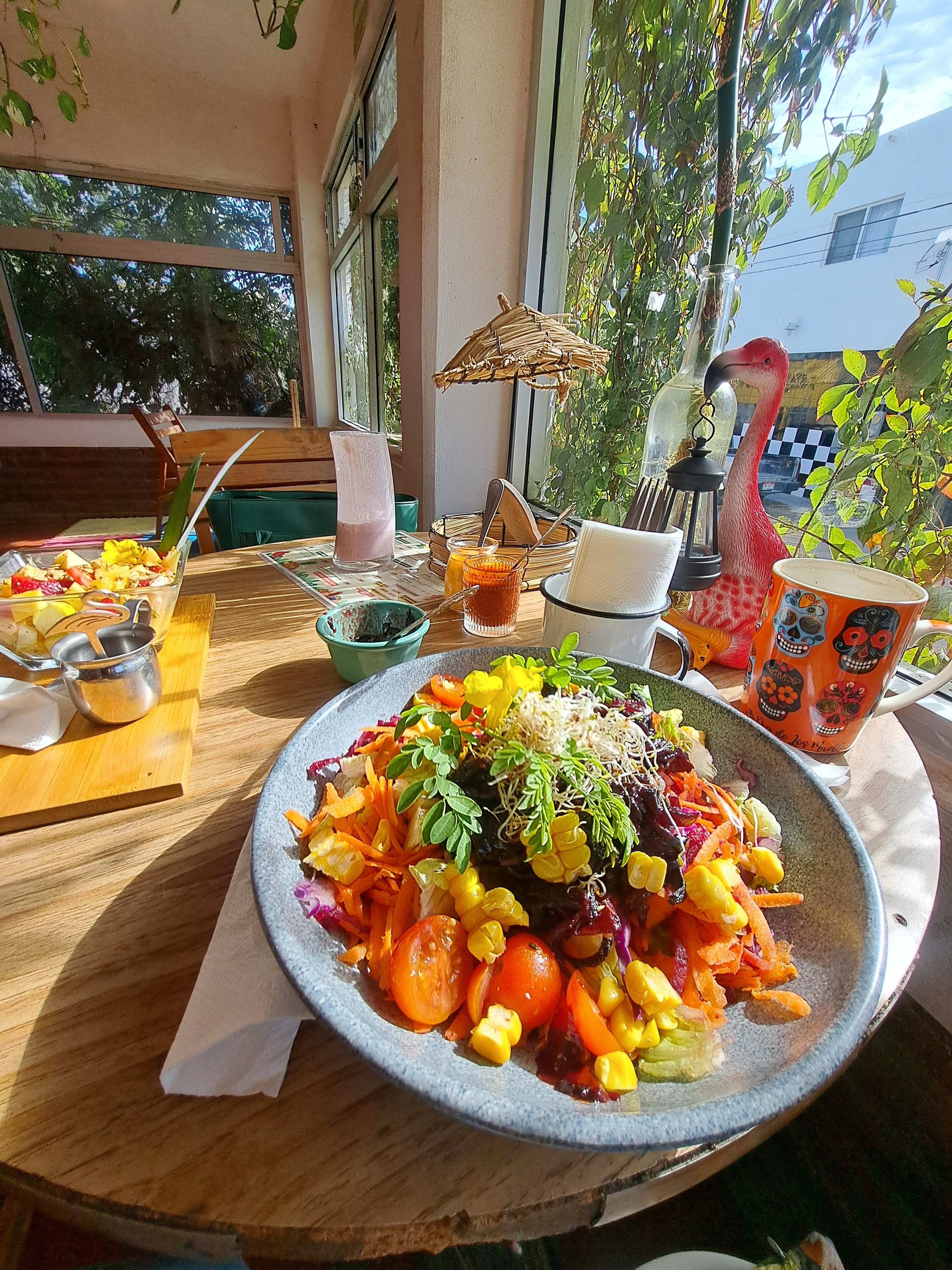 Tropical Kitchen Cabo image 2