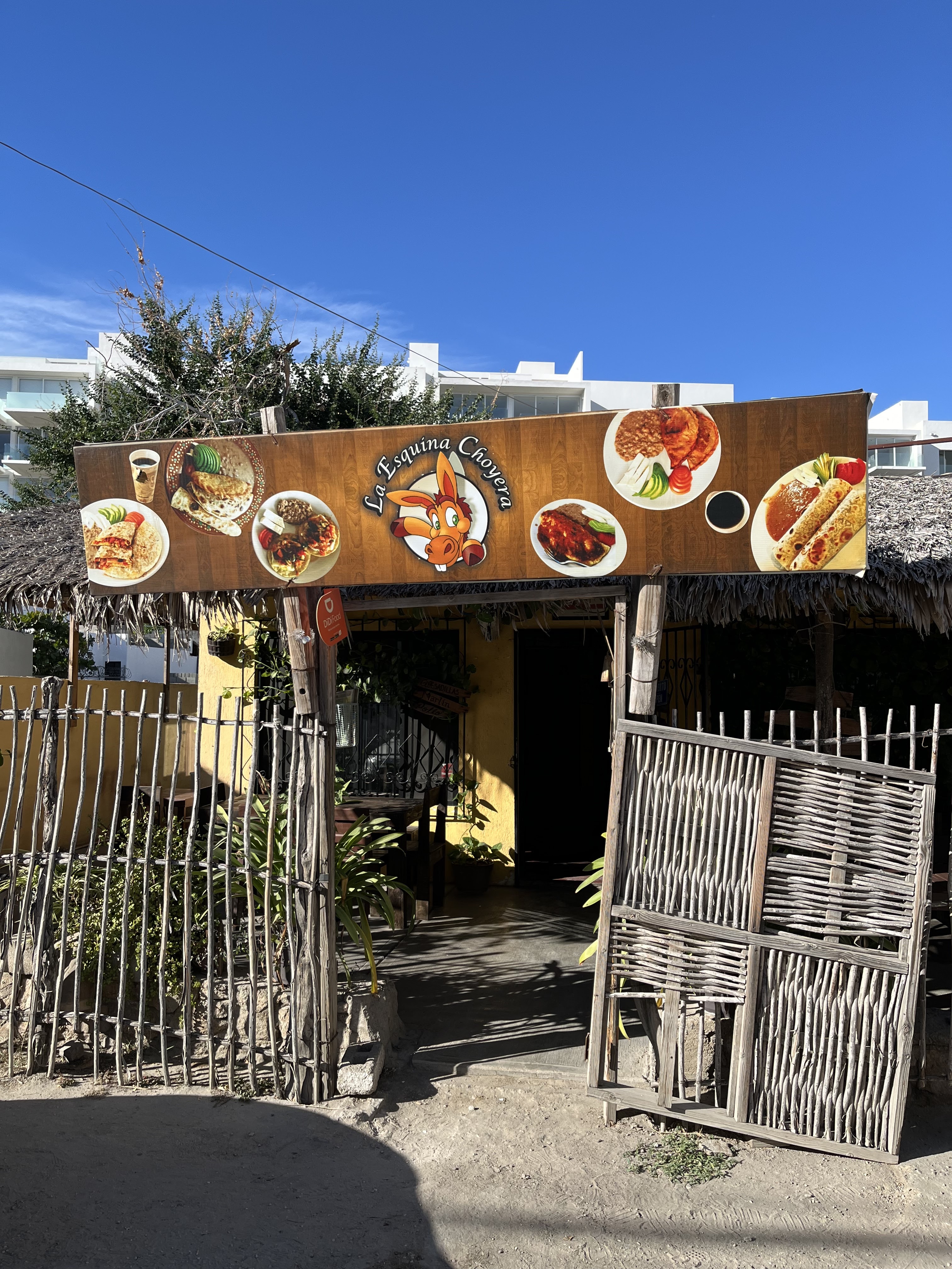 Restaurante | La esquina choyera | pelícanos, Médano image 1