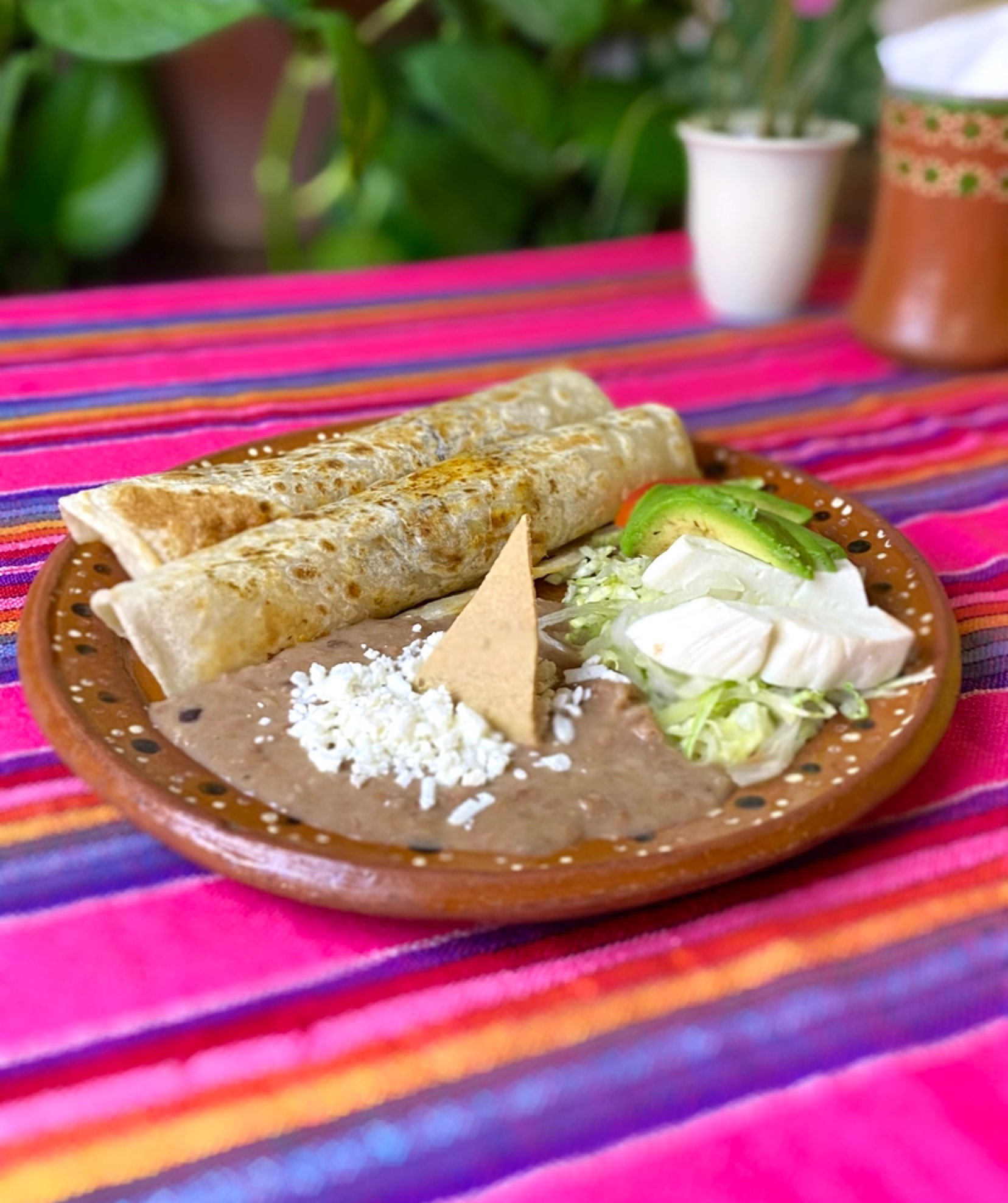 Restaurante | La esquina choyera | pelícanos, Médano image 2