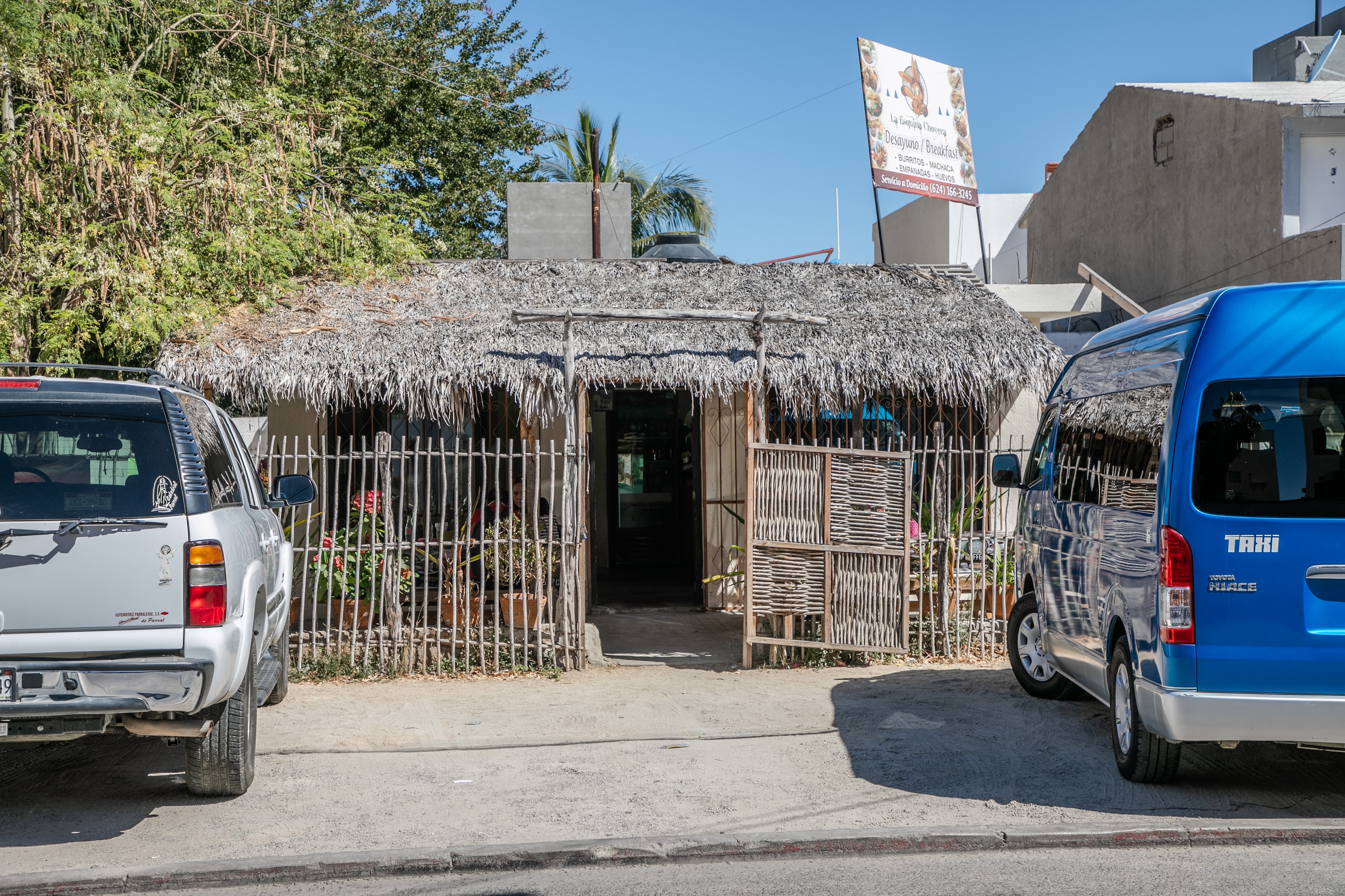Restaurante | La esquina choyera | pelícanos, Médano image 3