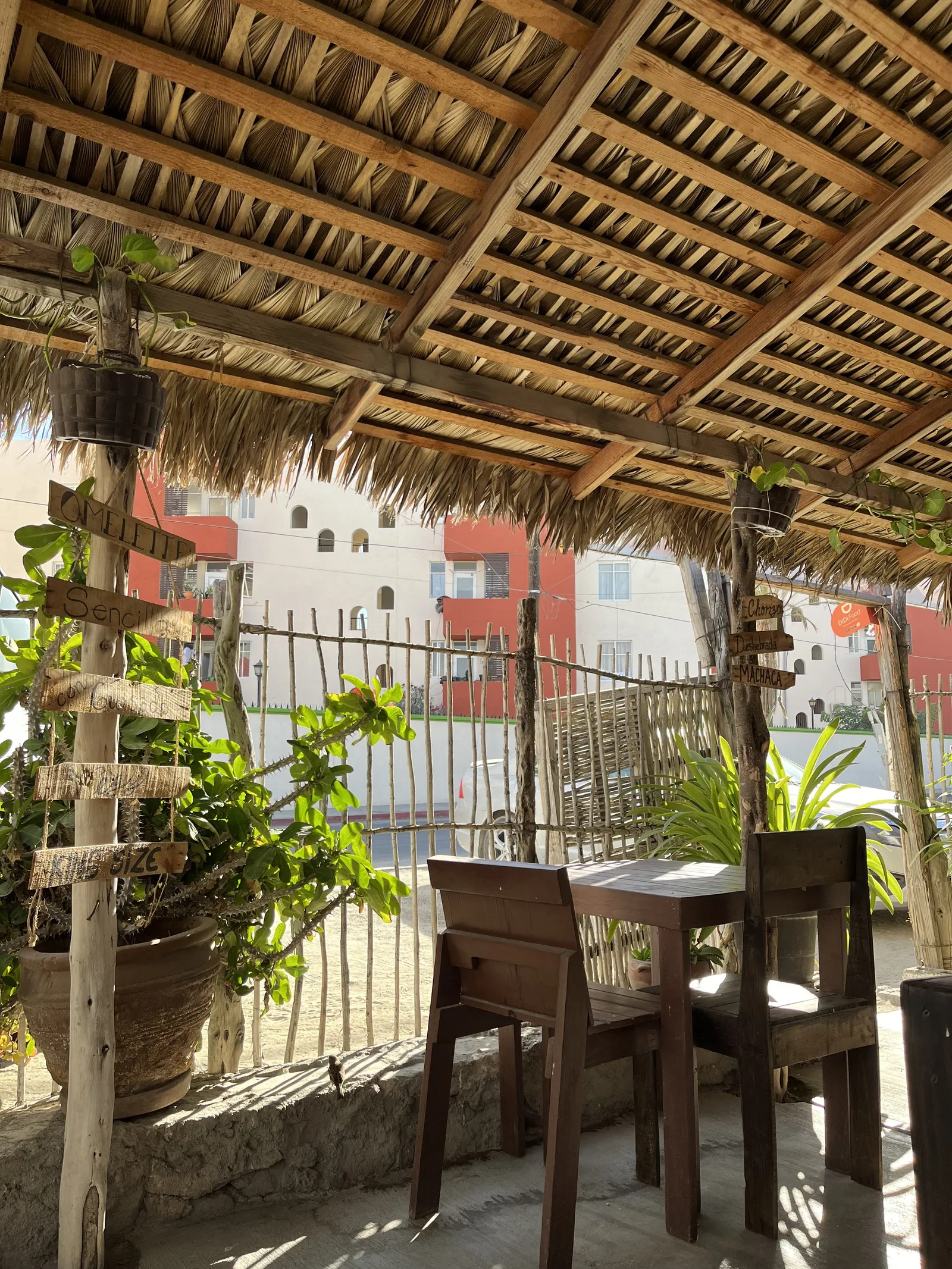 Restaurante | La esquina choyera | pelícanos, Médano image 6