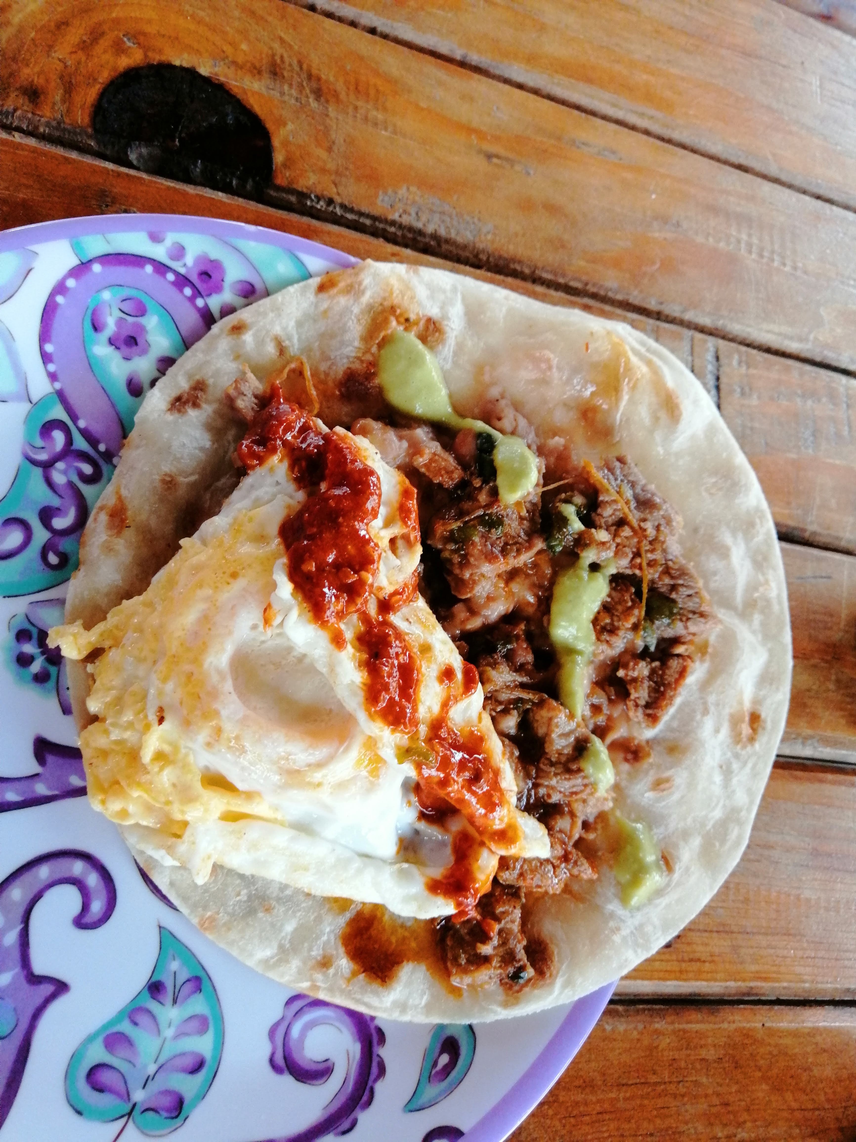 Restaurante | La esquina choyera | pelícanos, Médano image 10