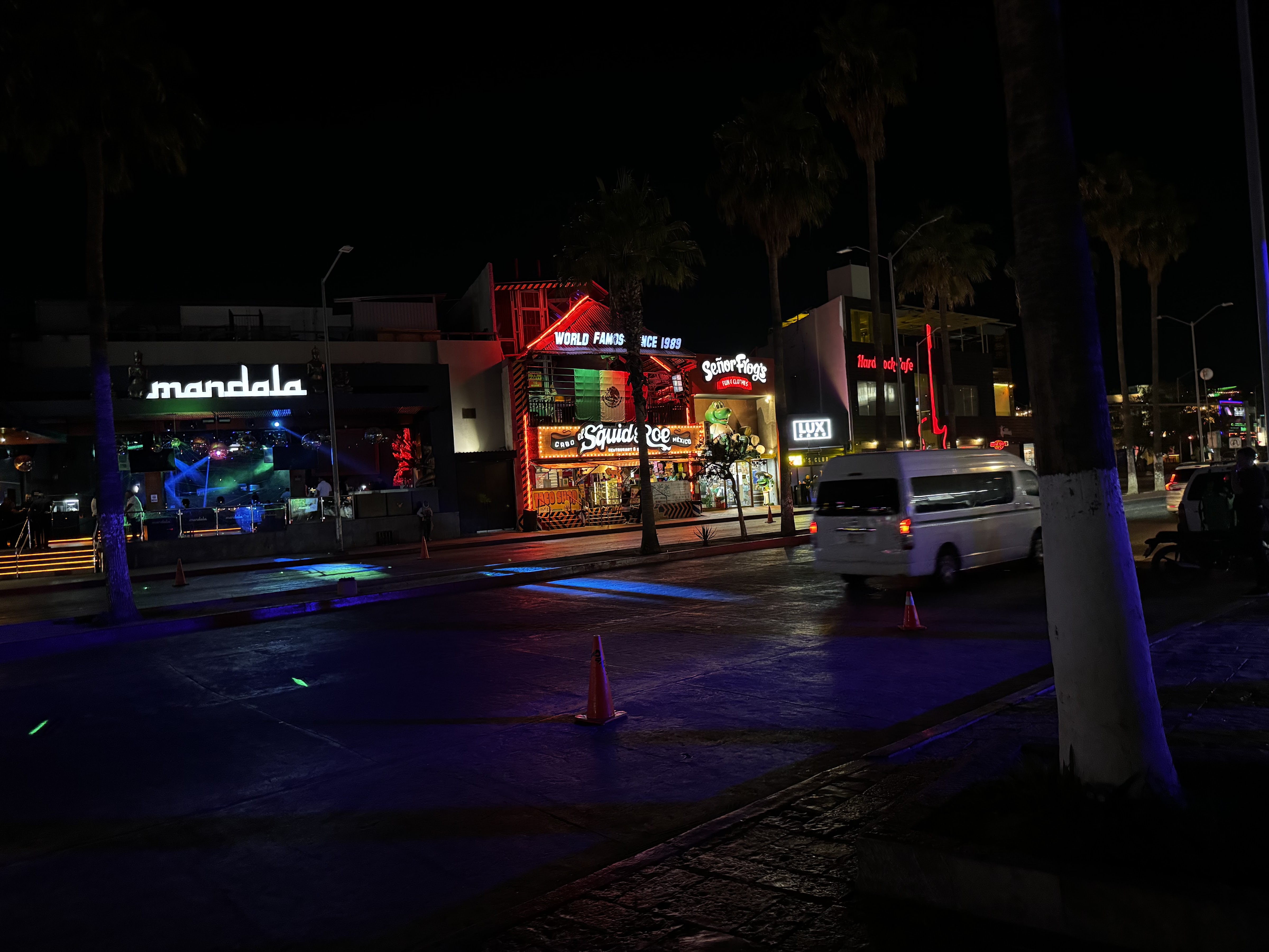 El Squid Roe - Cabo Bar & Restaurant image 7