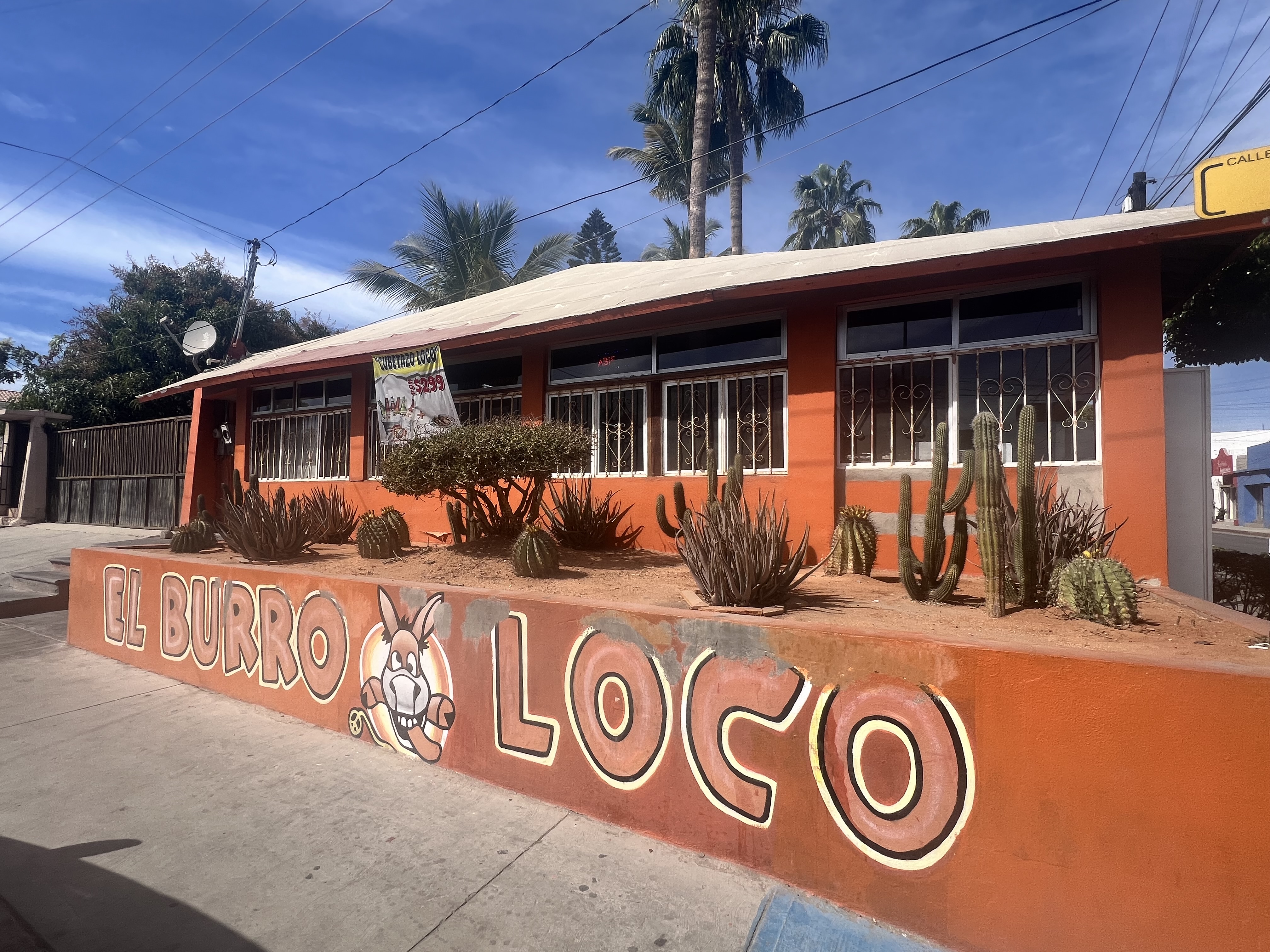 El Burro Loco image 8