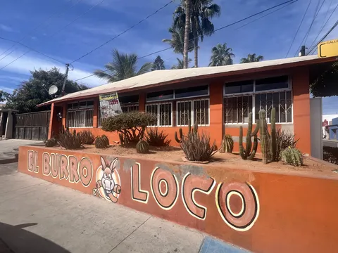 El Burro Loco image 8