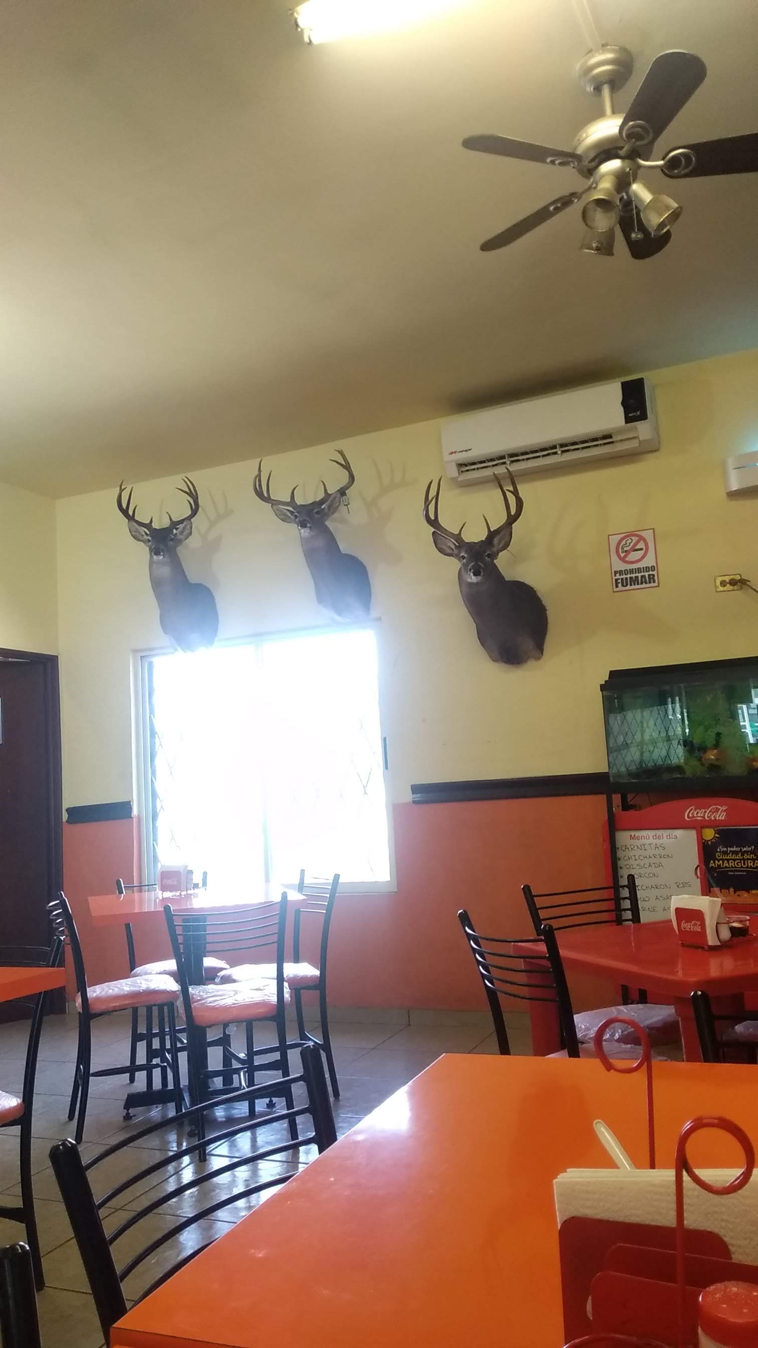 Chicharrones Javi image 4