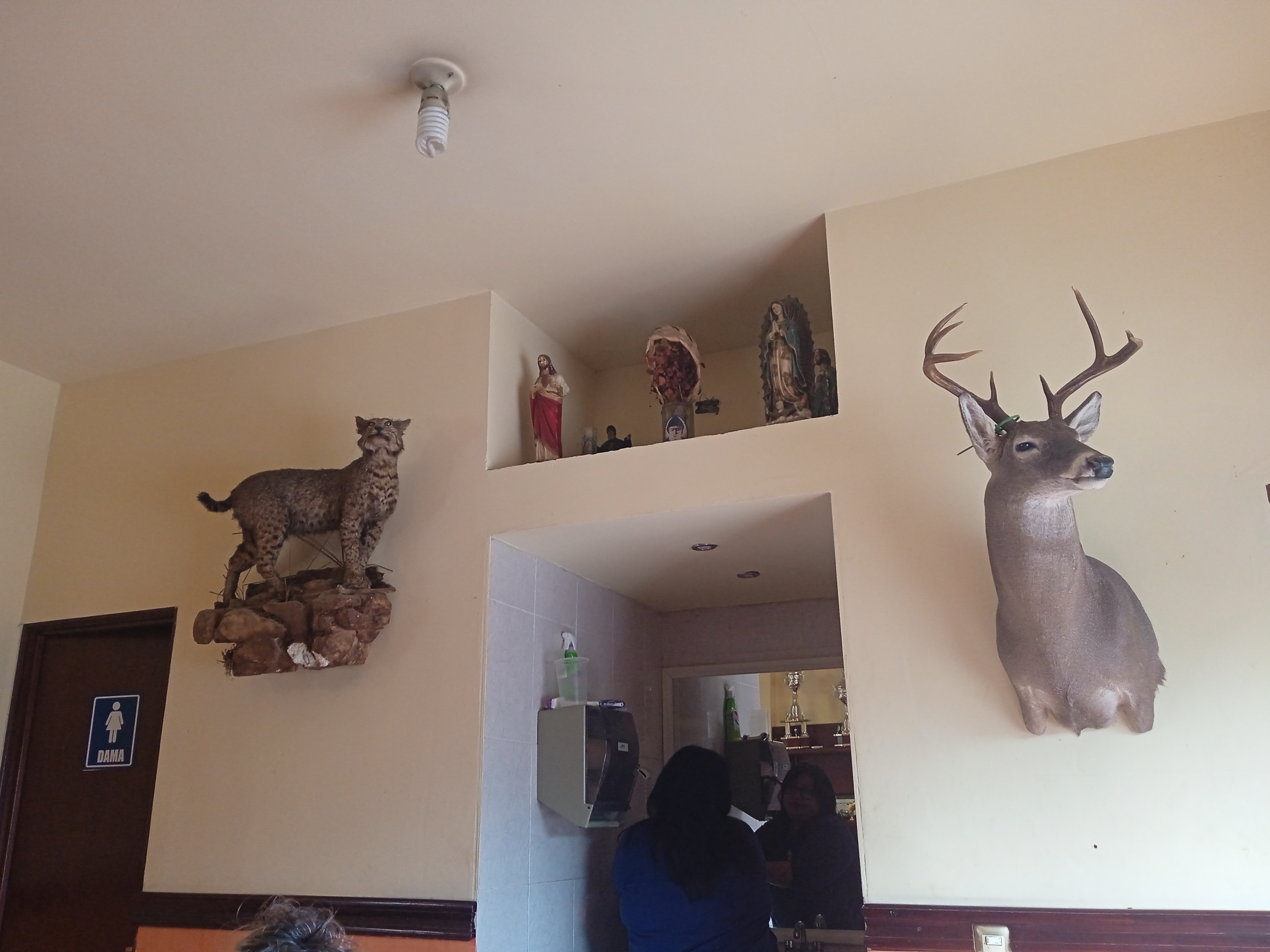 Chicharrones Javi image 5