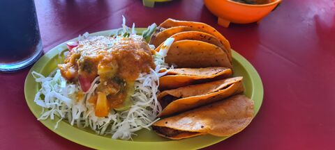 "Tacos Wicho" image 2