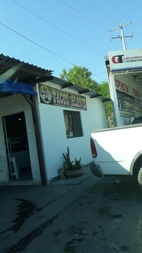 Tacos Alanis image 5