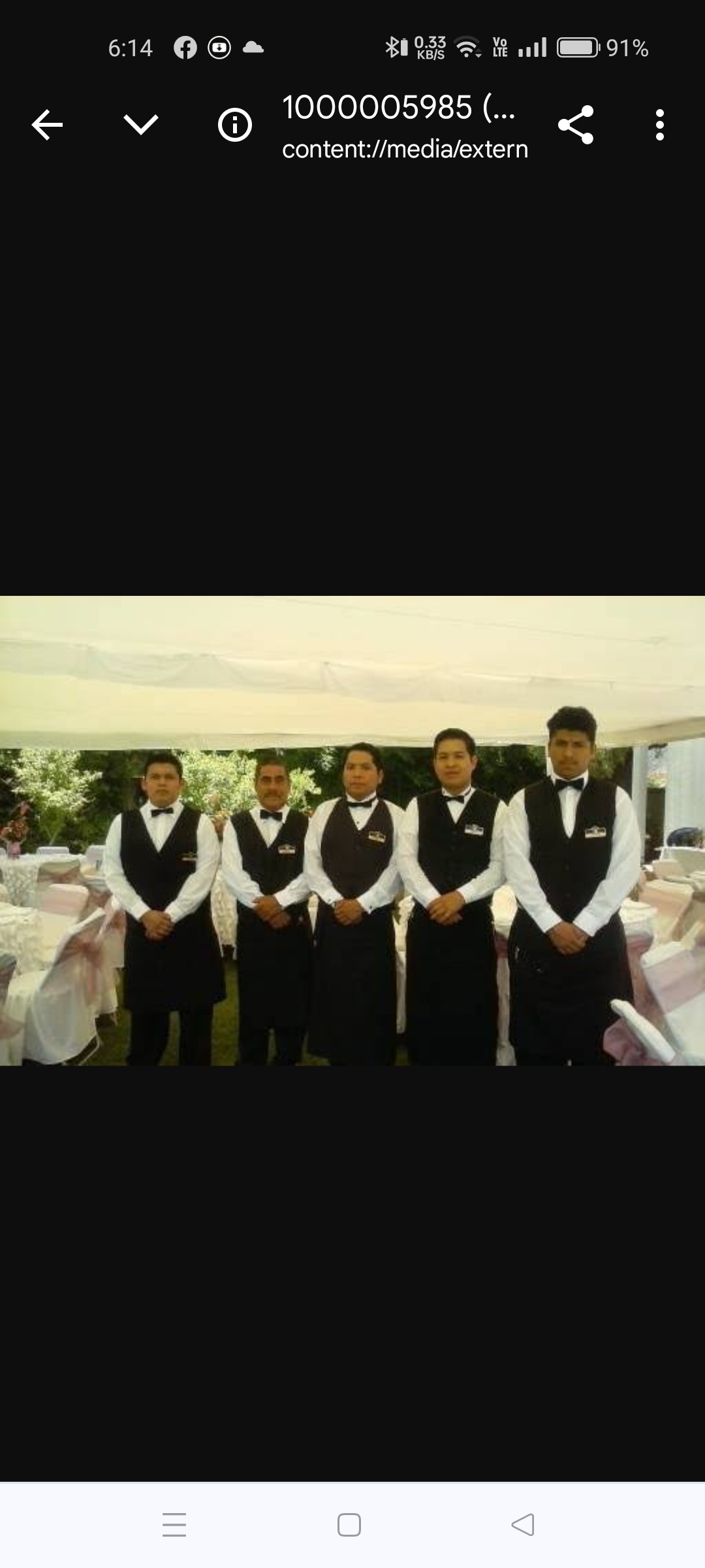 Servicio de meseros Ortega image 5