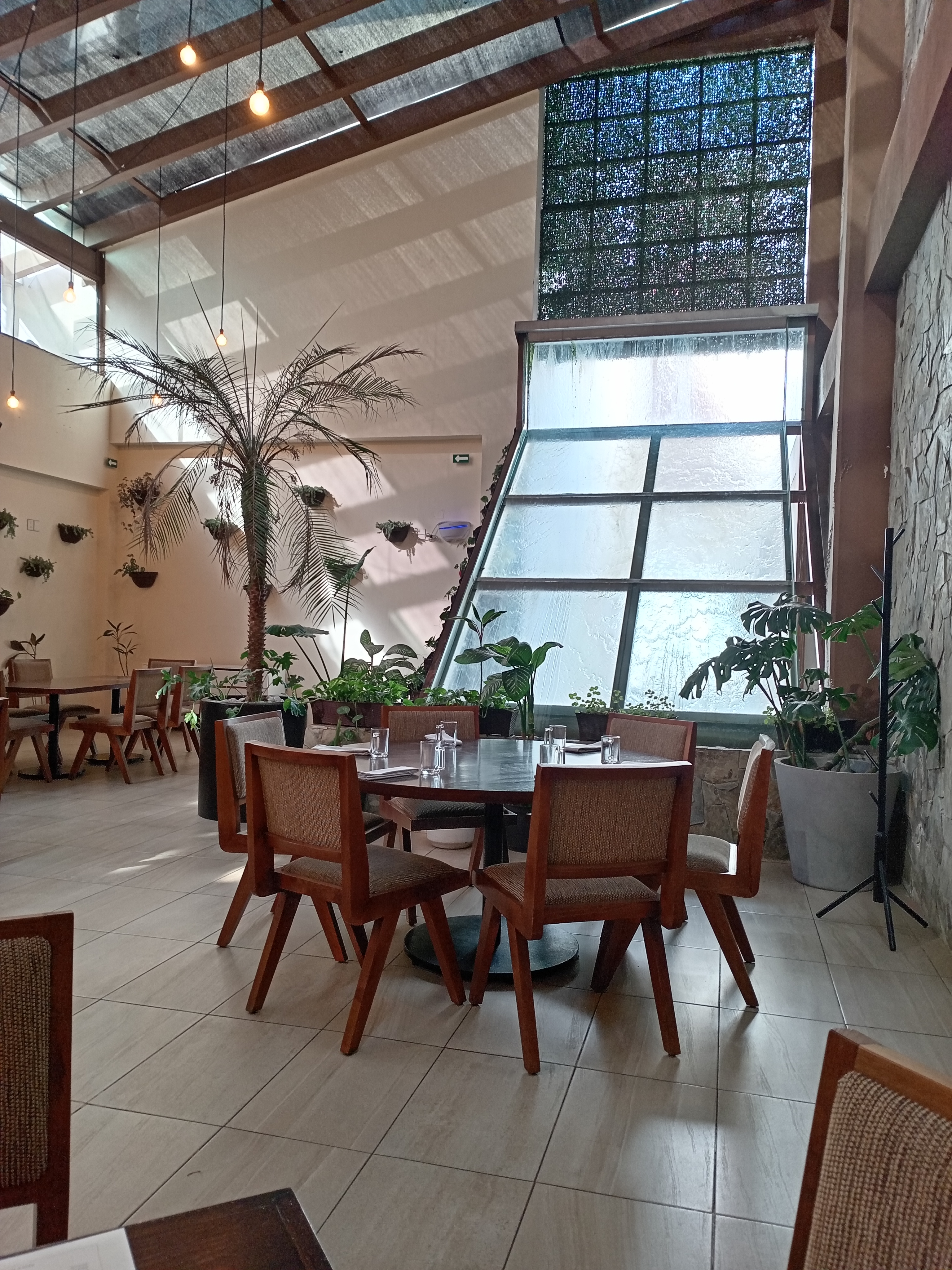 Solera Restaurante image 5