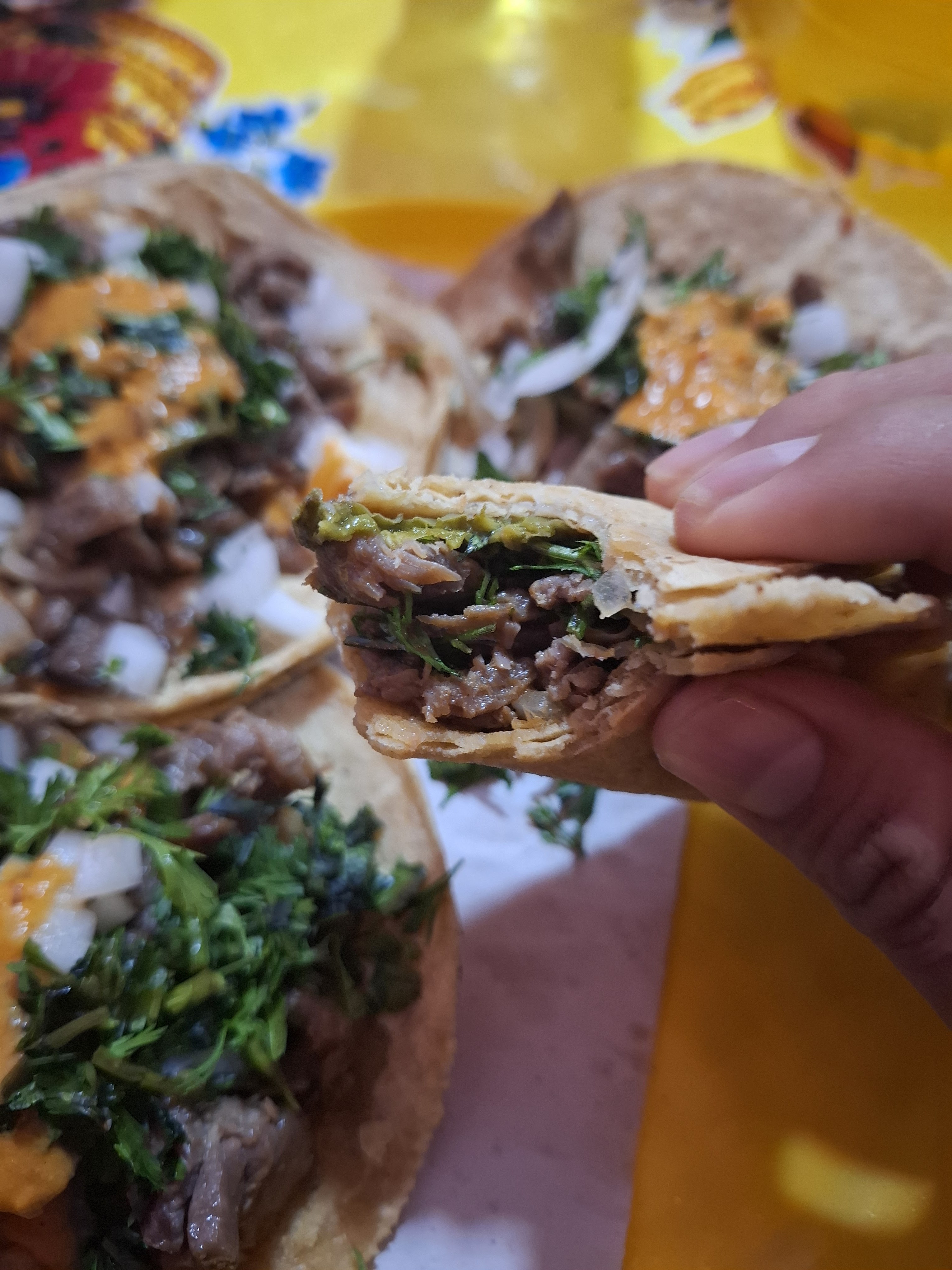 Taquito Guerrerense image 2