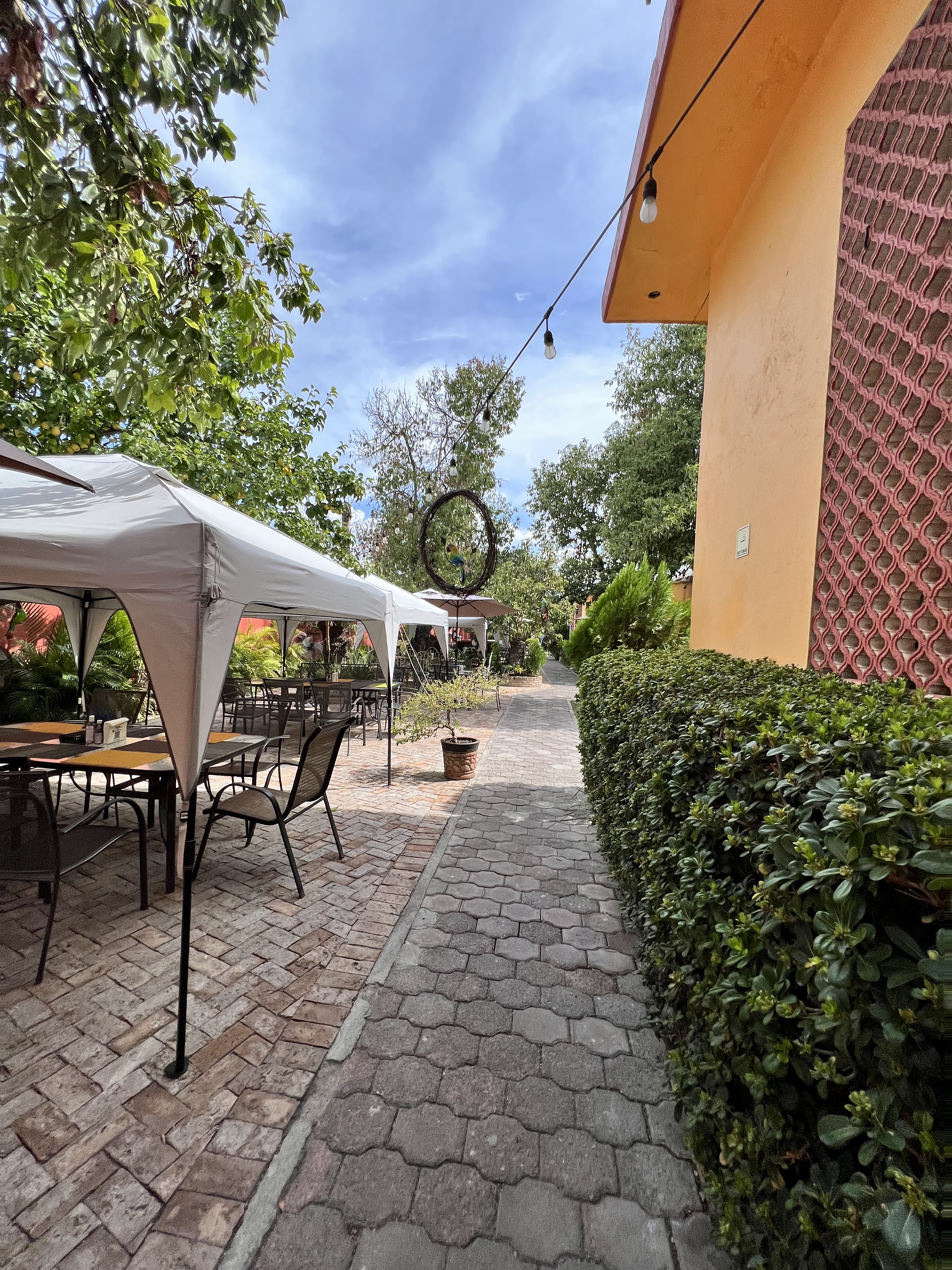 Cano Cafe & Bistro image 4