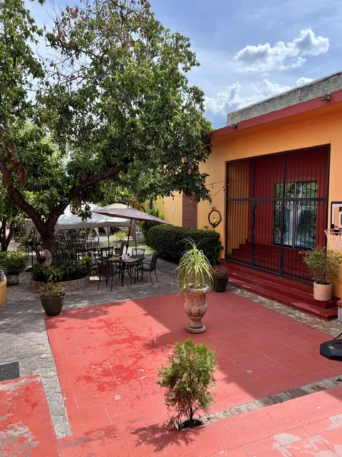 Cano Cafe & Bistro image 8