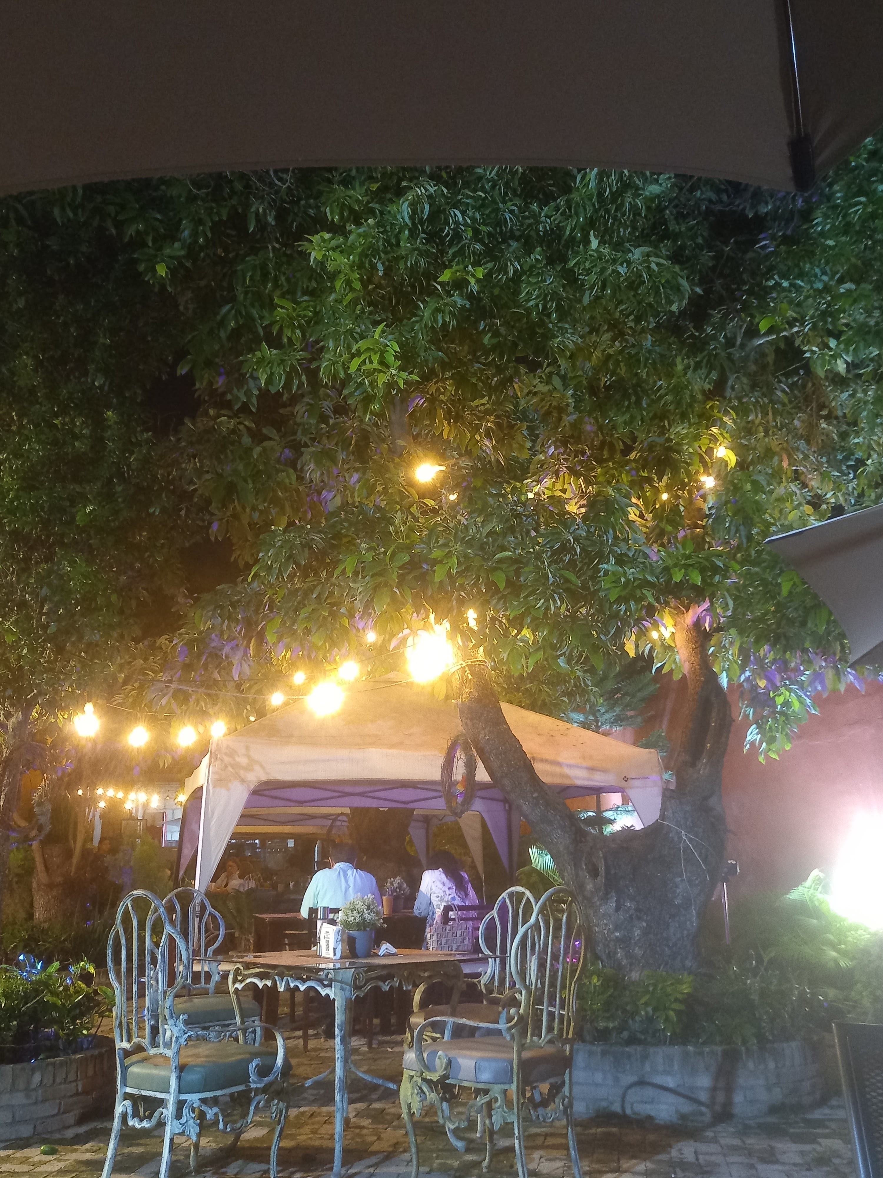 Cano Cafe & Bistro image 9