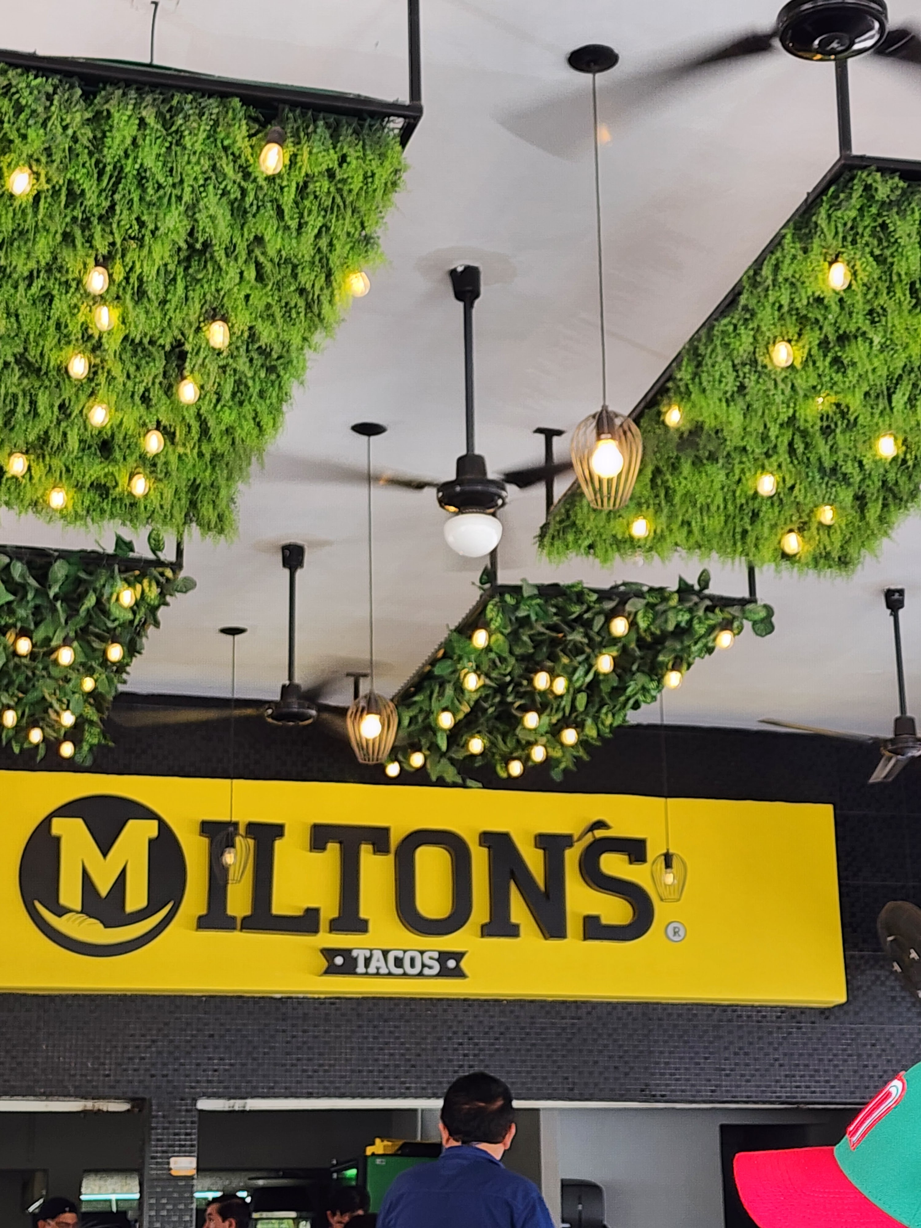 tacos milton image 8