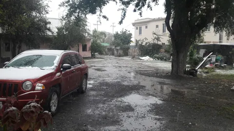 Doña Mary image 5
