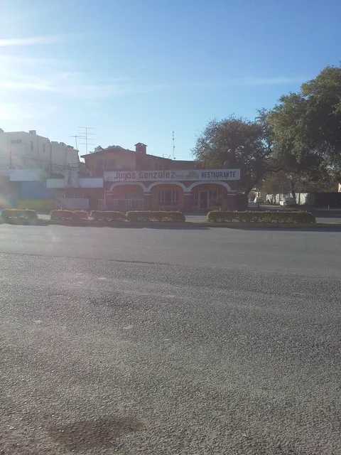Jugos González image 4