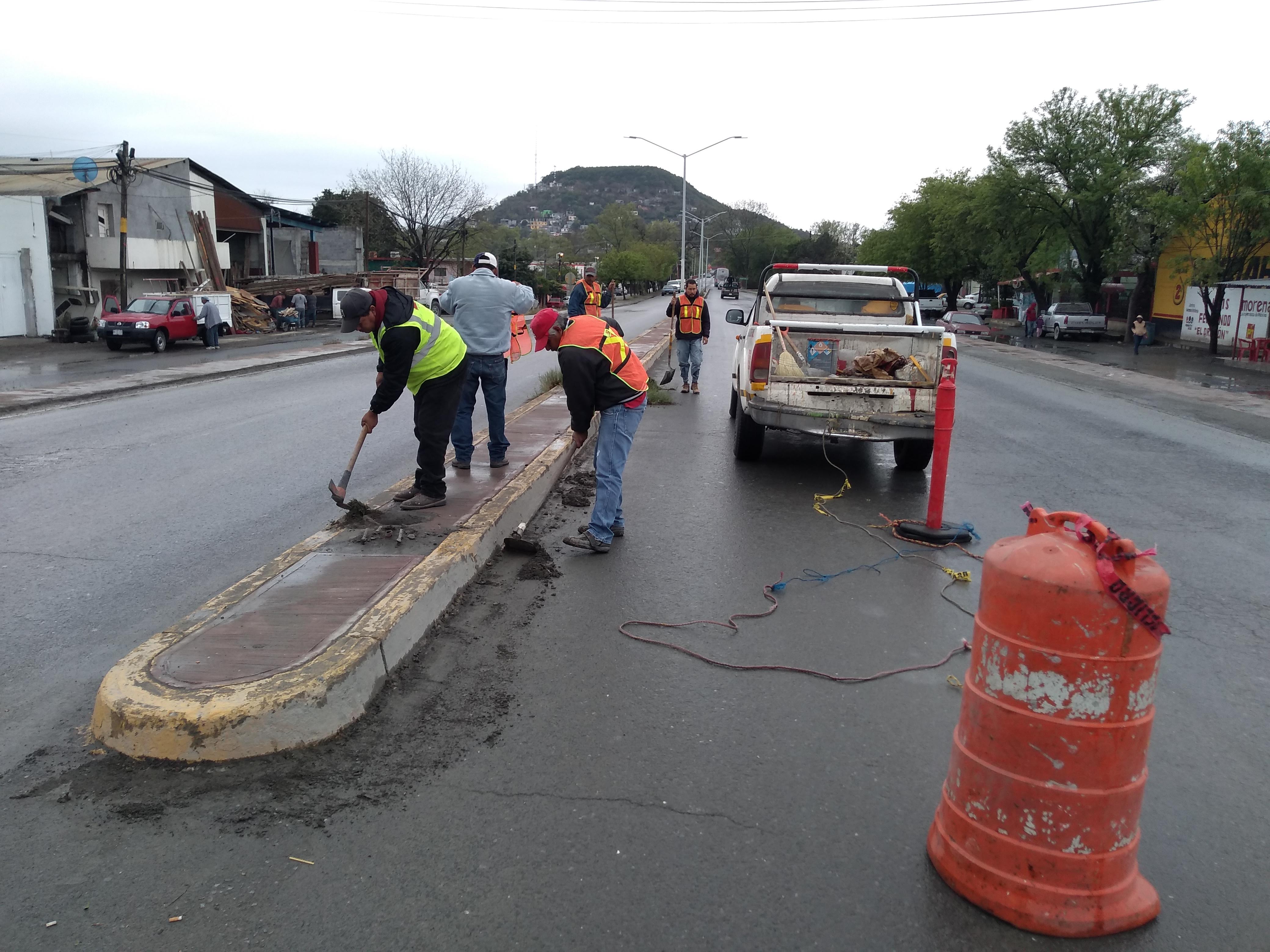 Tacos El Guana image 3