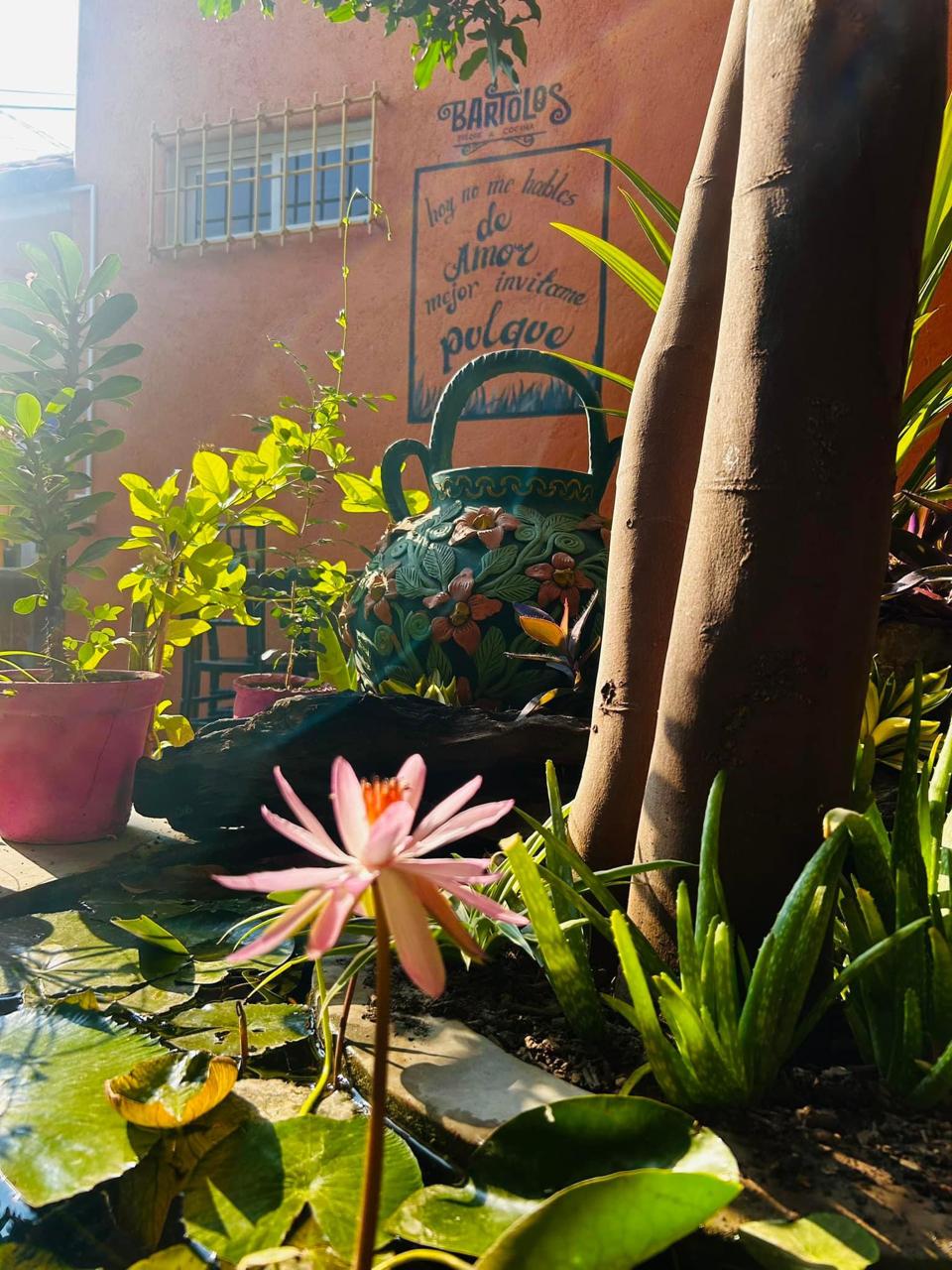 Bartolos Family Restaurant image 6