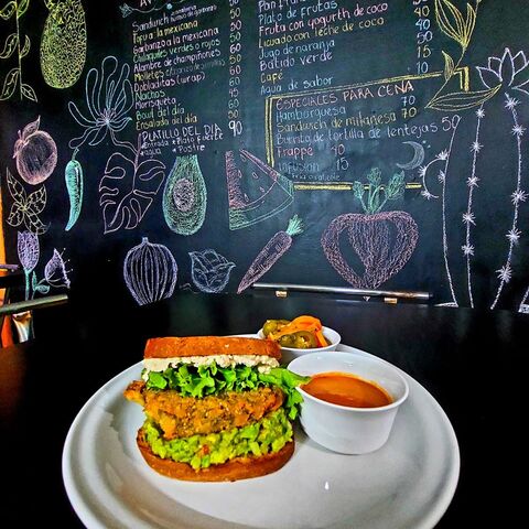 Vegan Ruby image 2