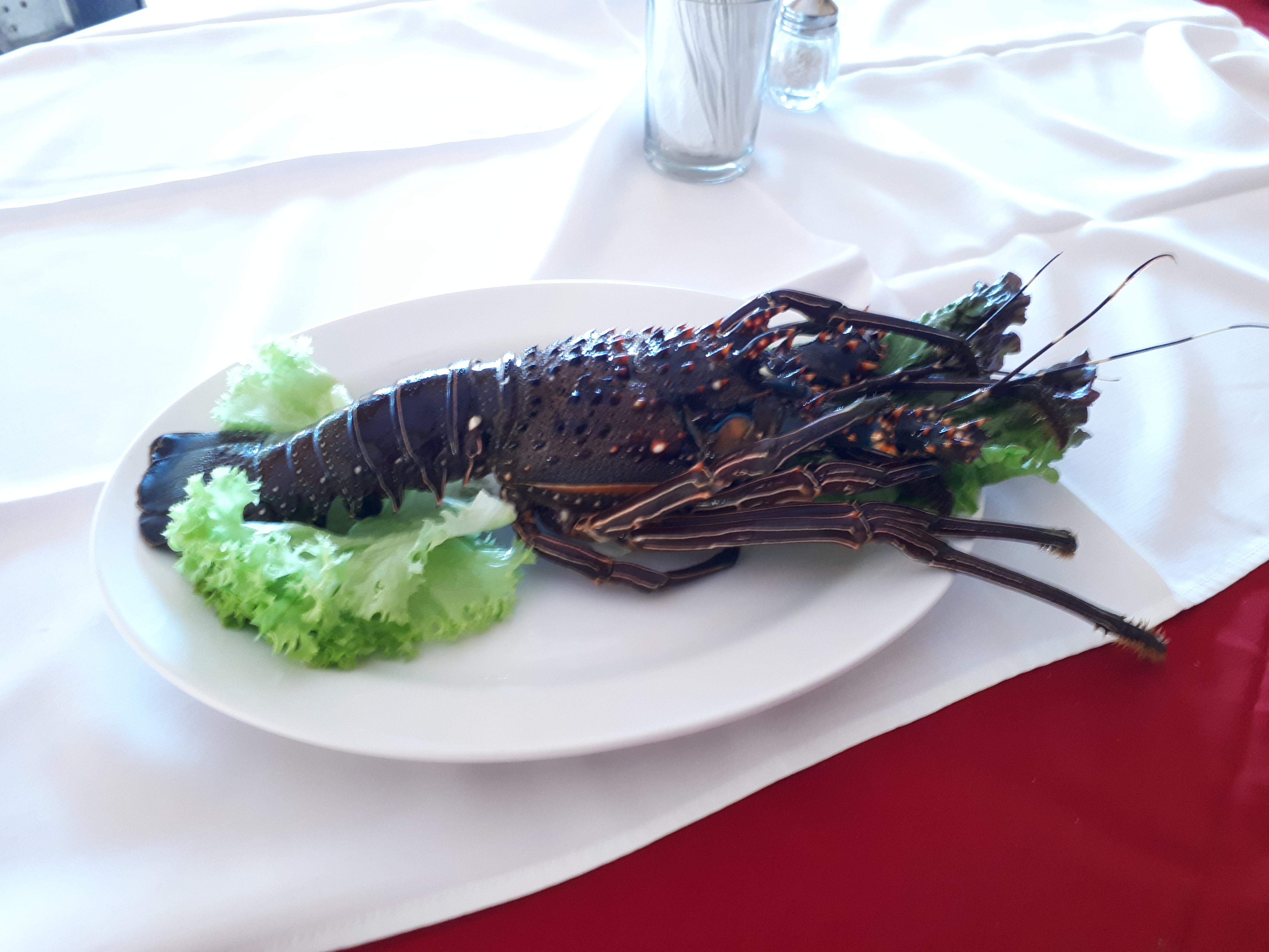 Daniel's Mariscos y Carnes image 2