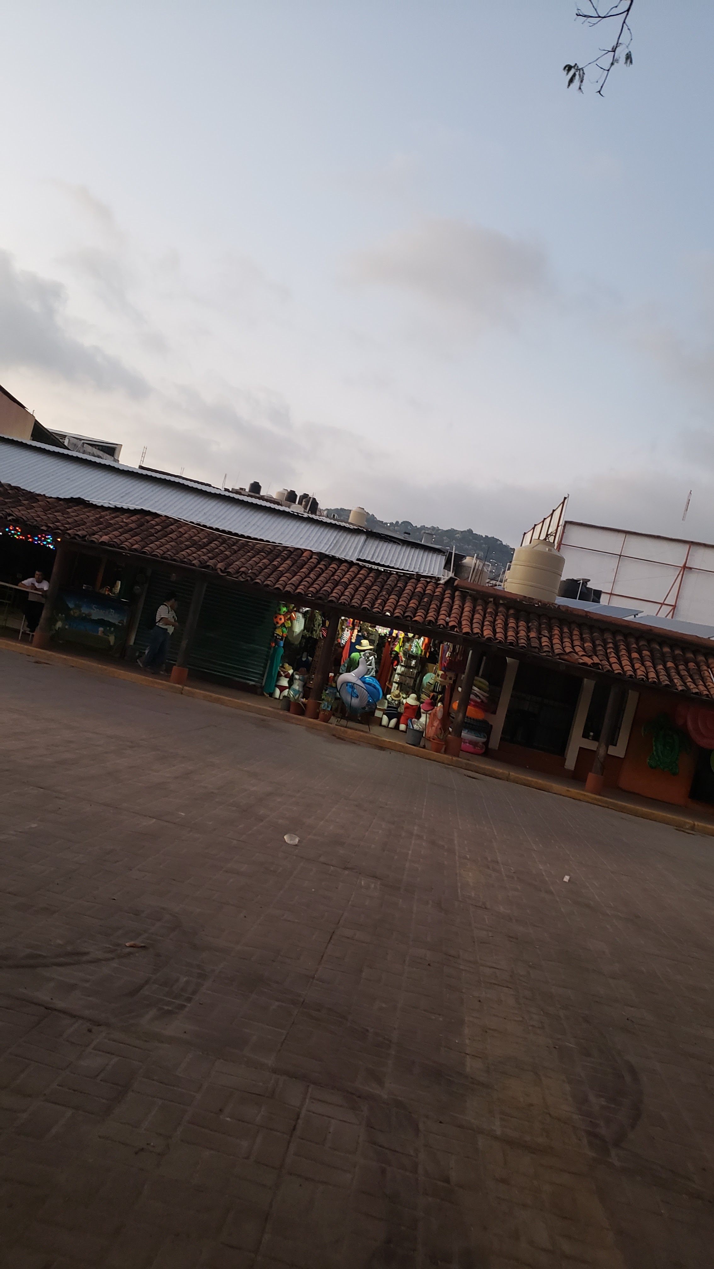 La Jaiba Feliz image 4