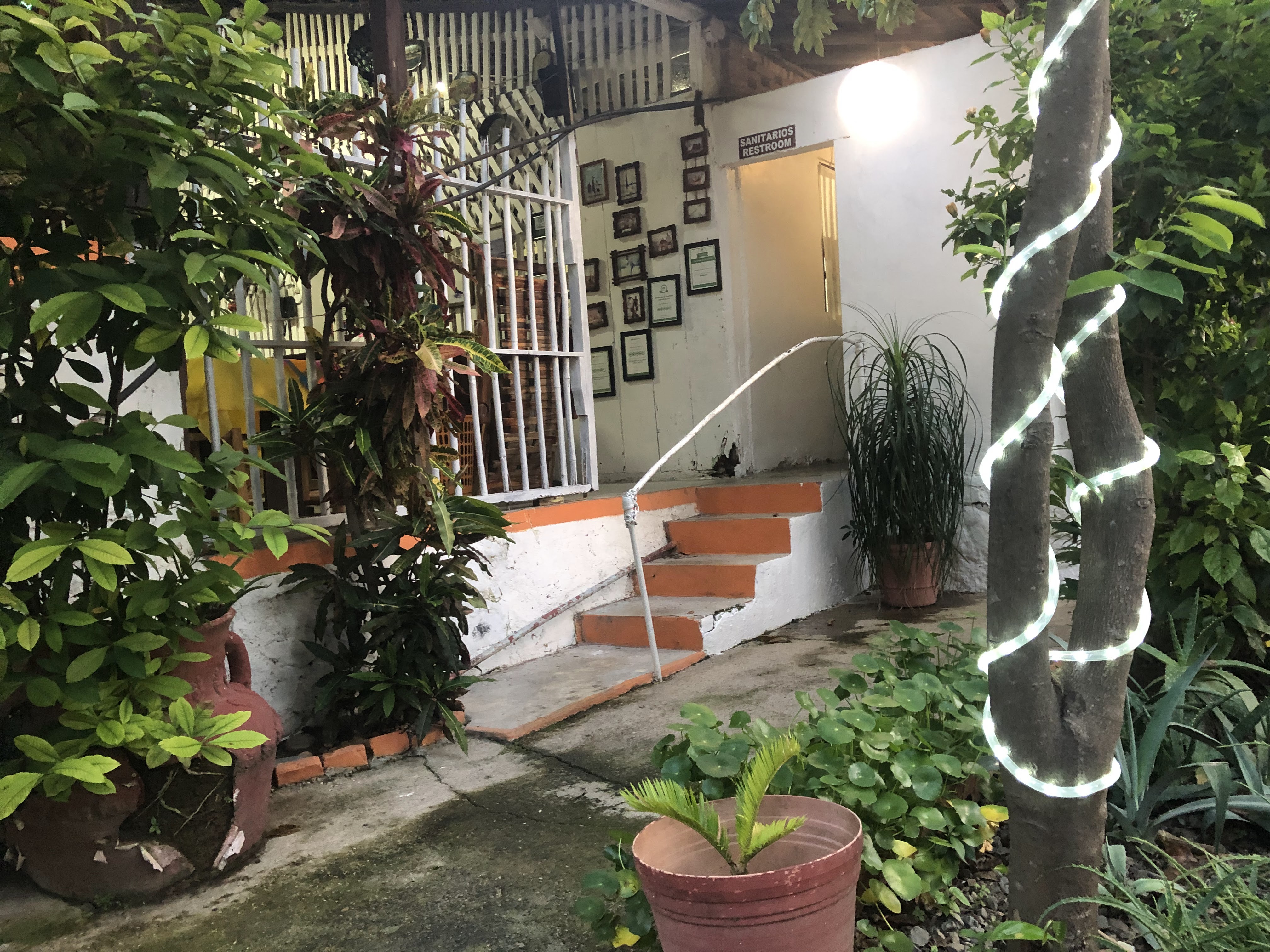 Lety's Restaurant image 9