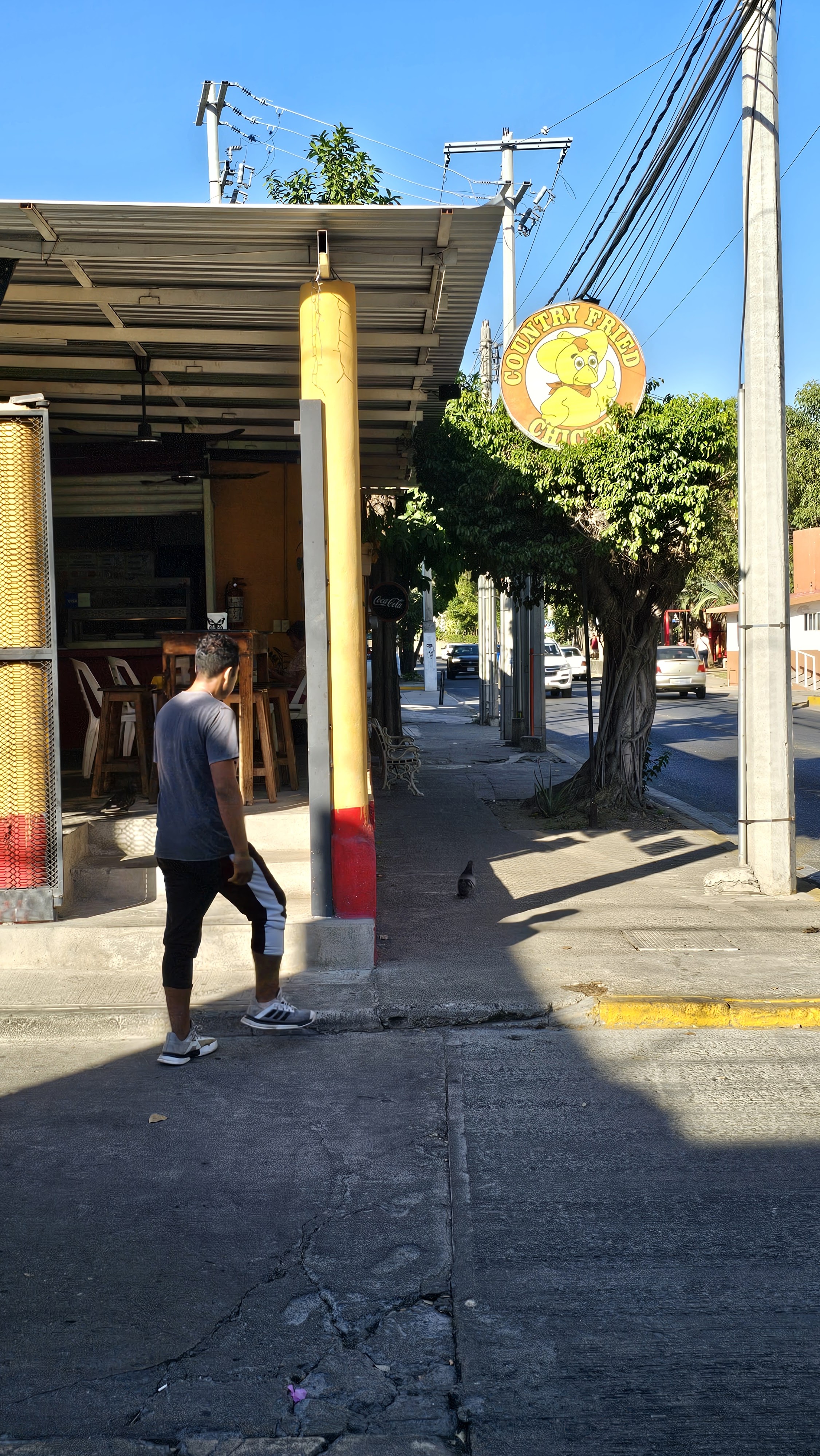 Pollos Country Zihuatanejo image 5