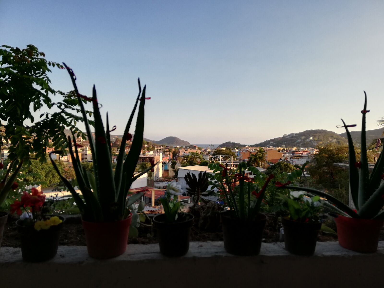 Casita Burguer image 3