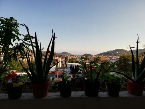 Casita Burguer image 3