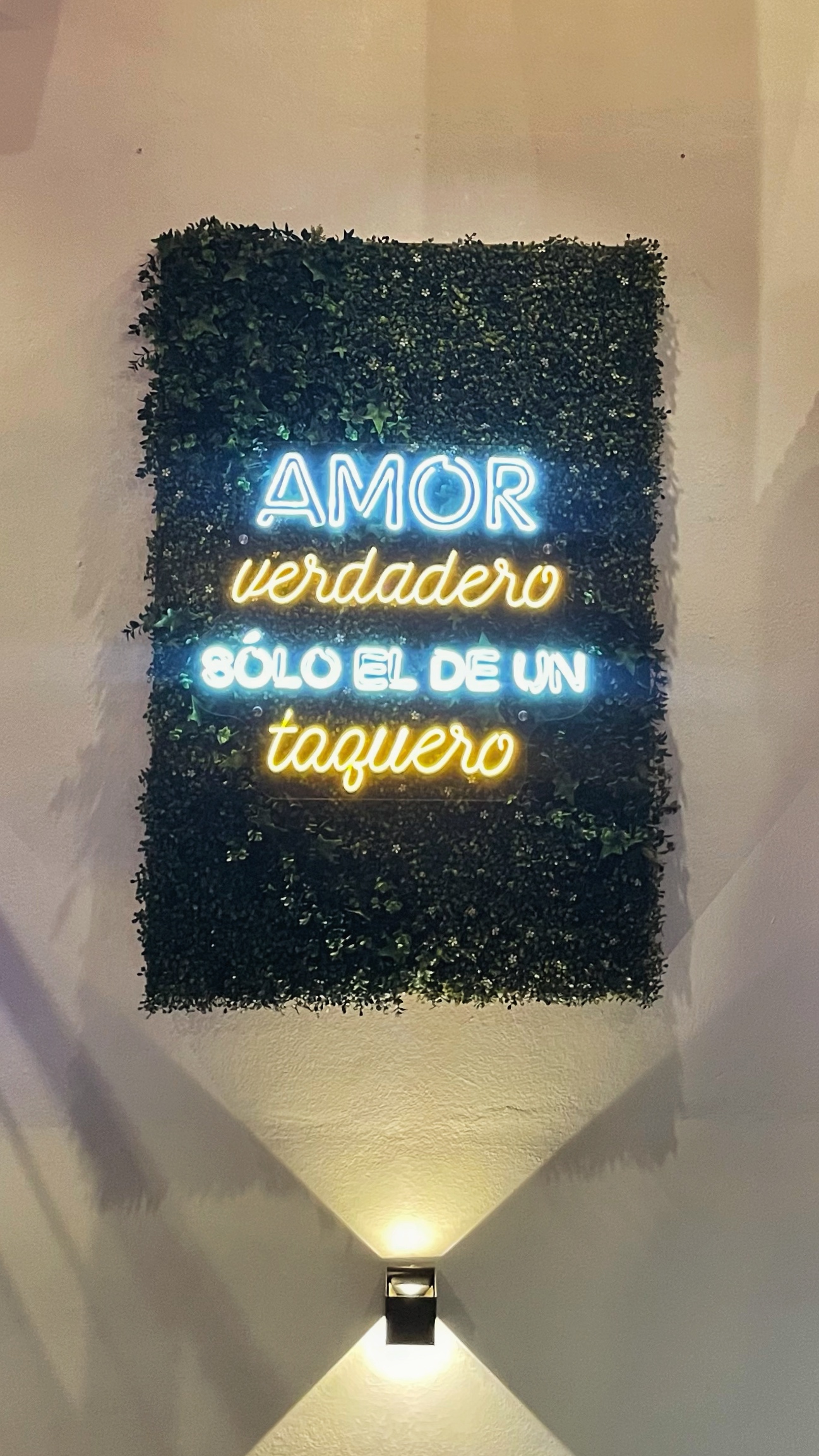 Mr Papa Loca image 8