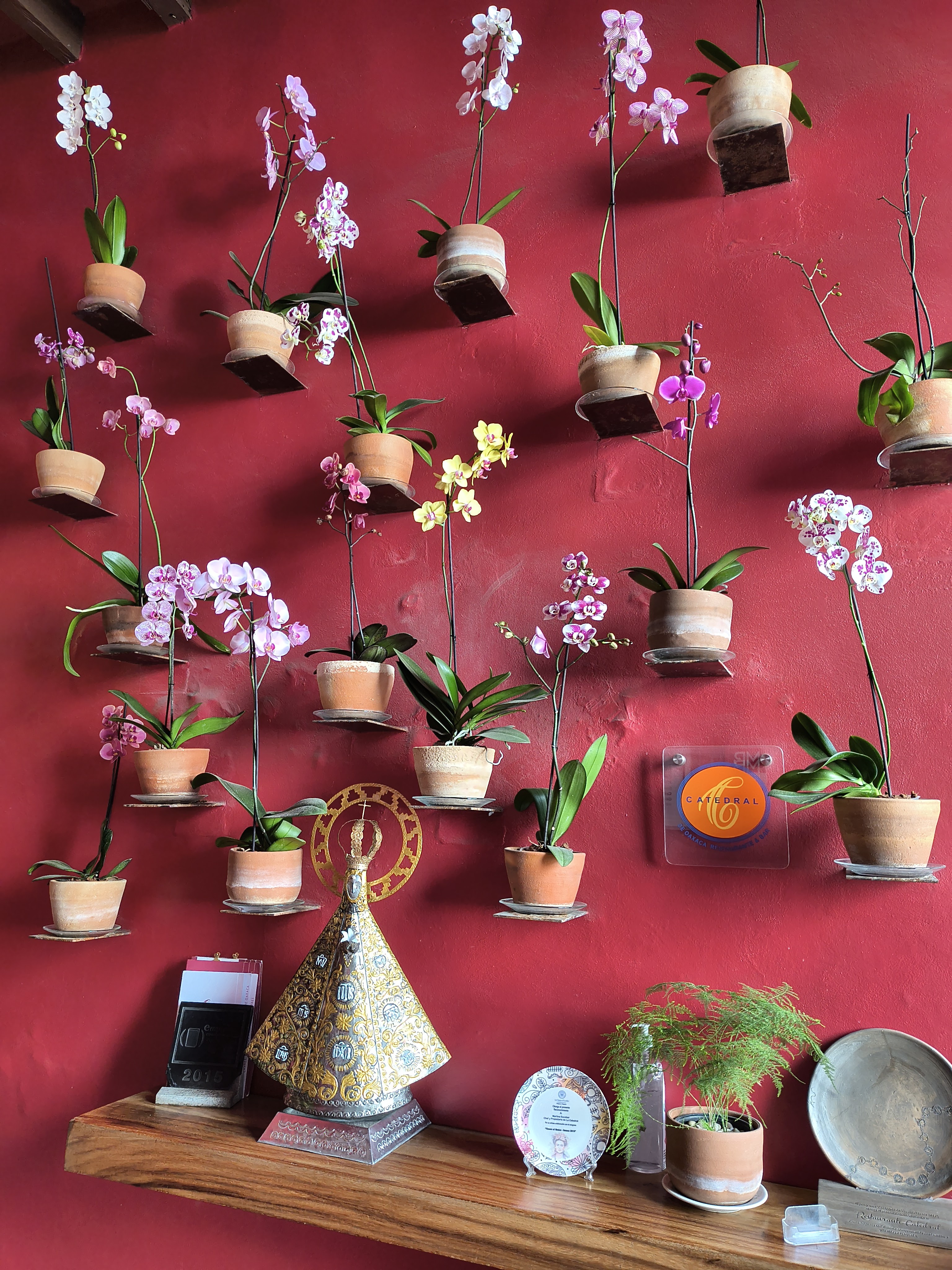 Catedral Restaurant image 7