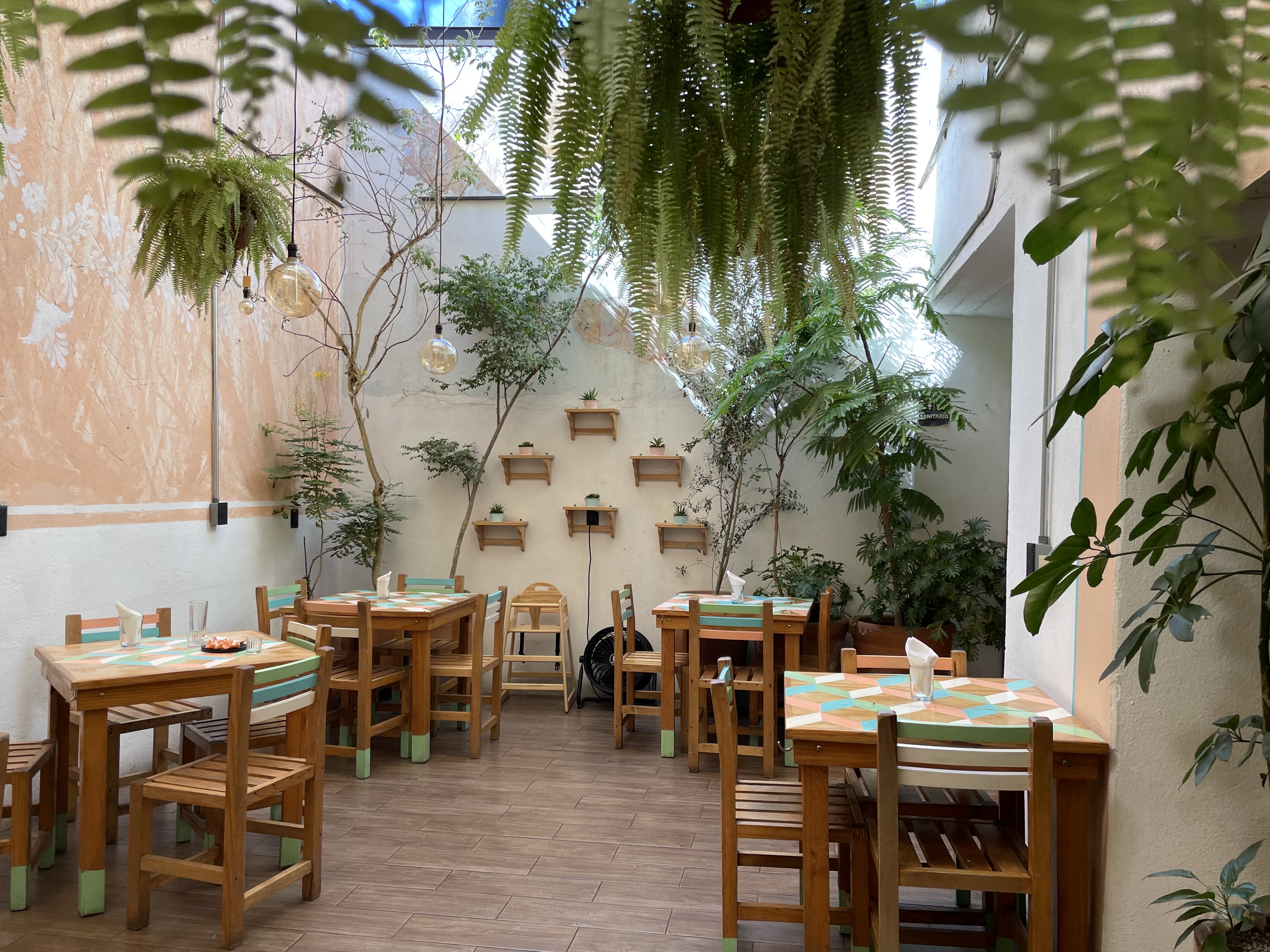 Casa Taviche image 3