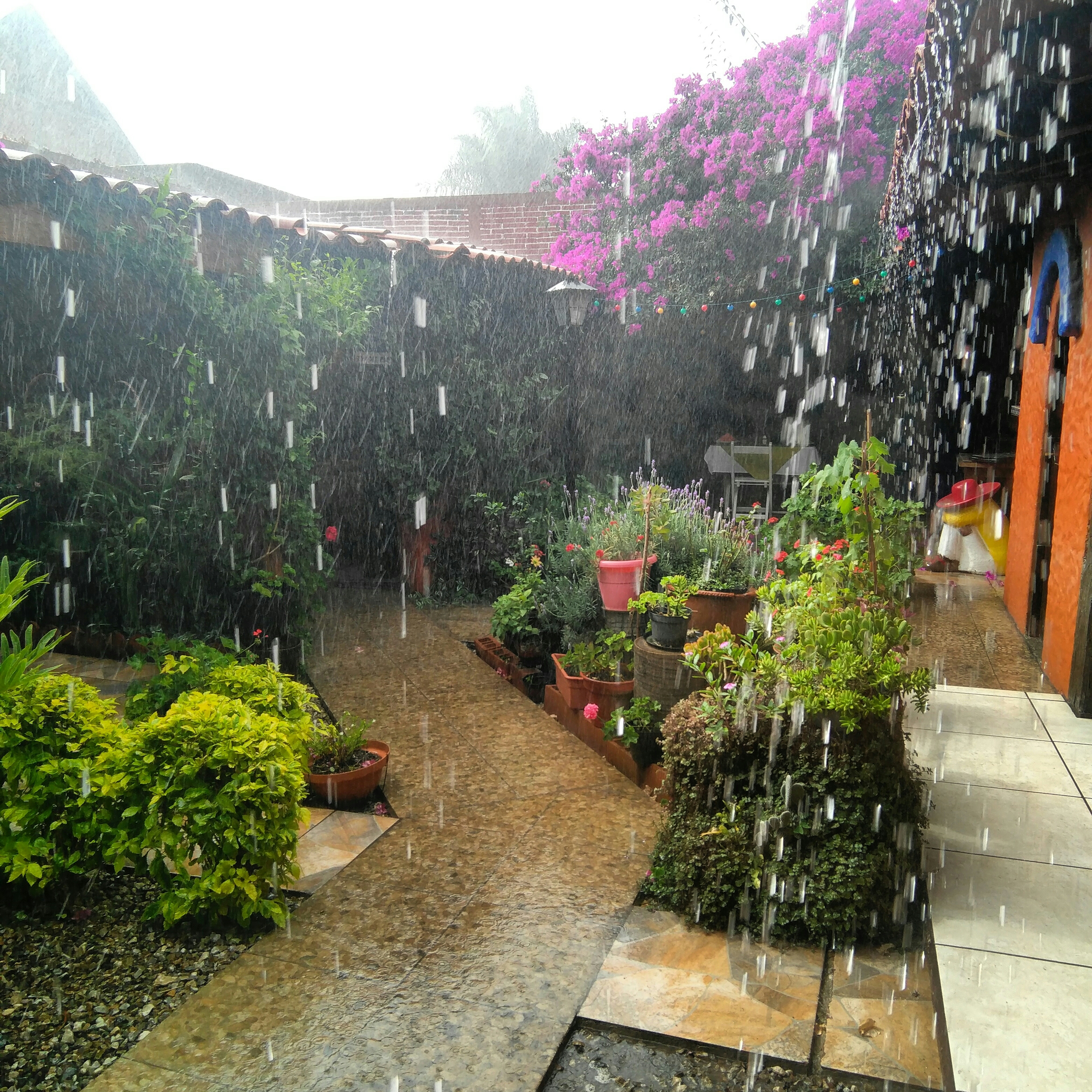 Restaurante El Molino image 5