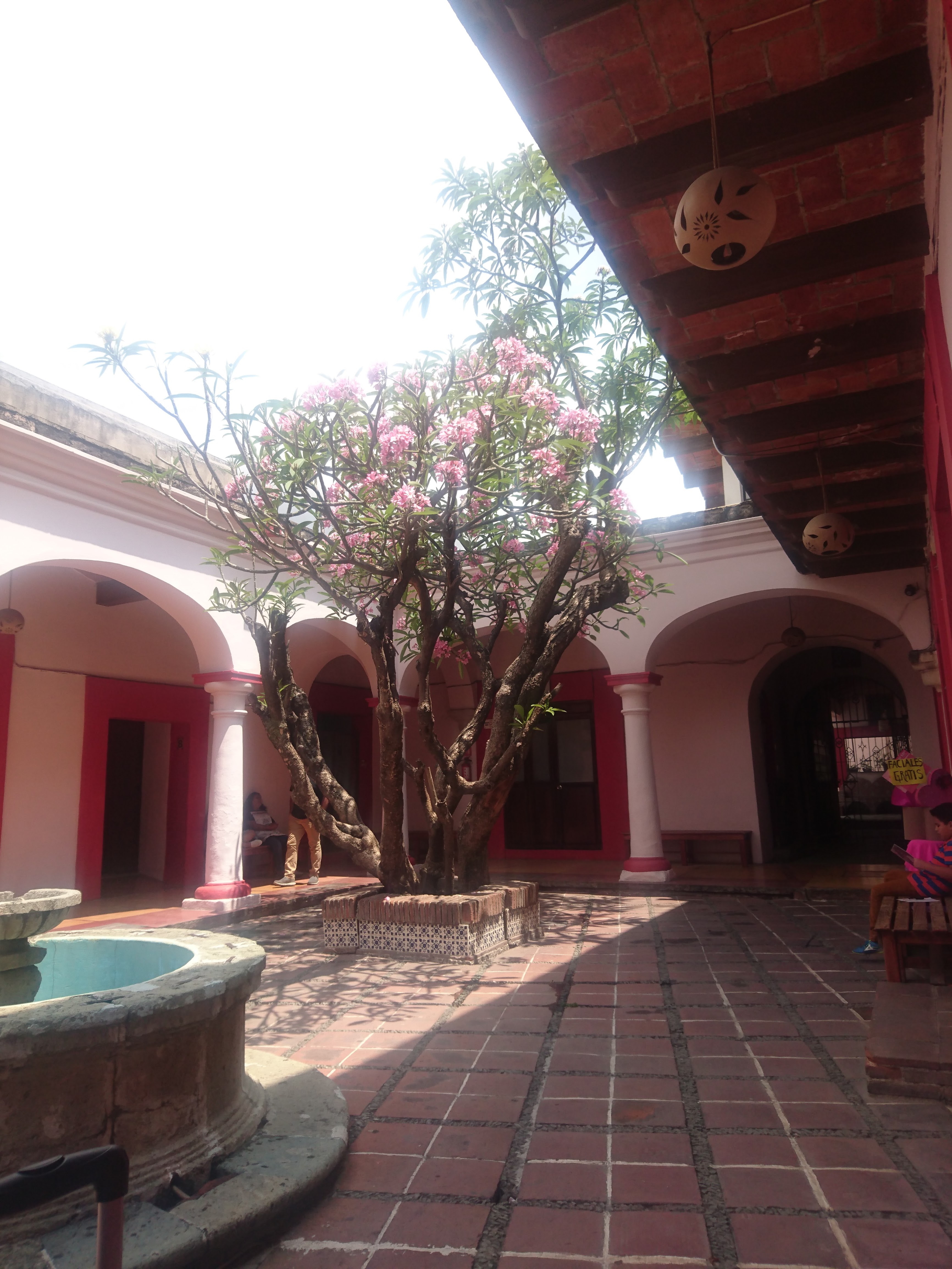 Restaurante El Zaguán image 3