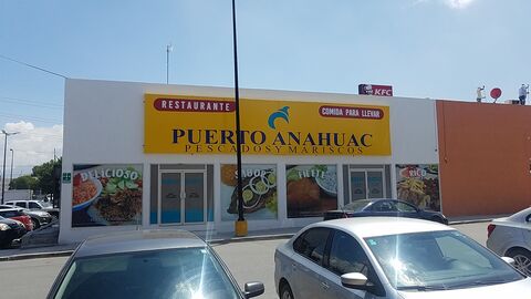 Puerto Anáhuac image 1