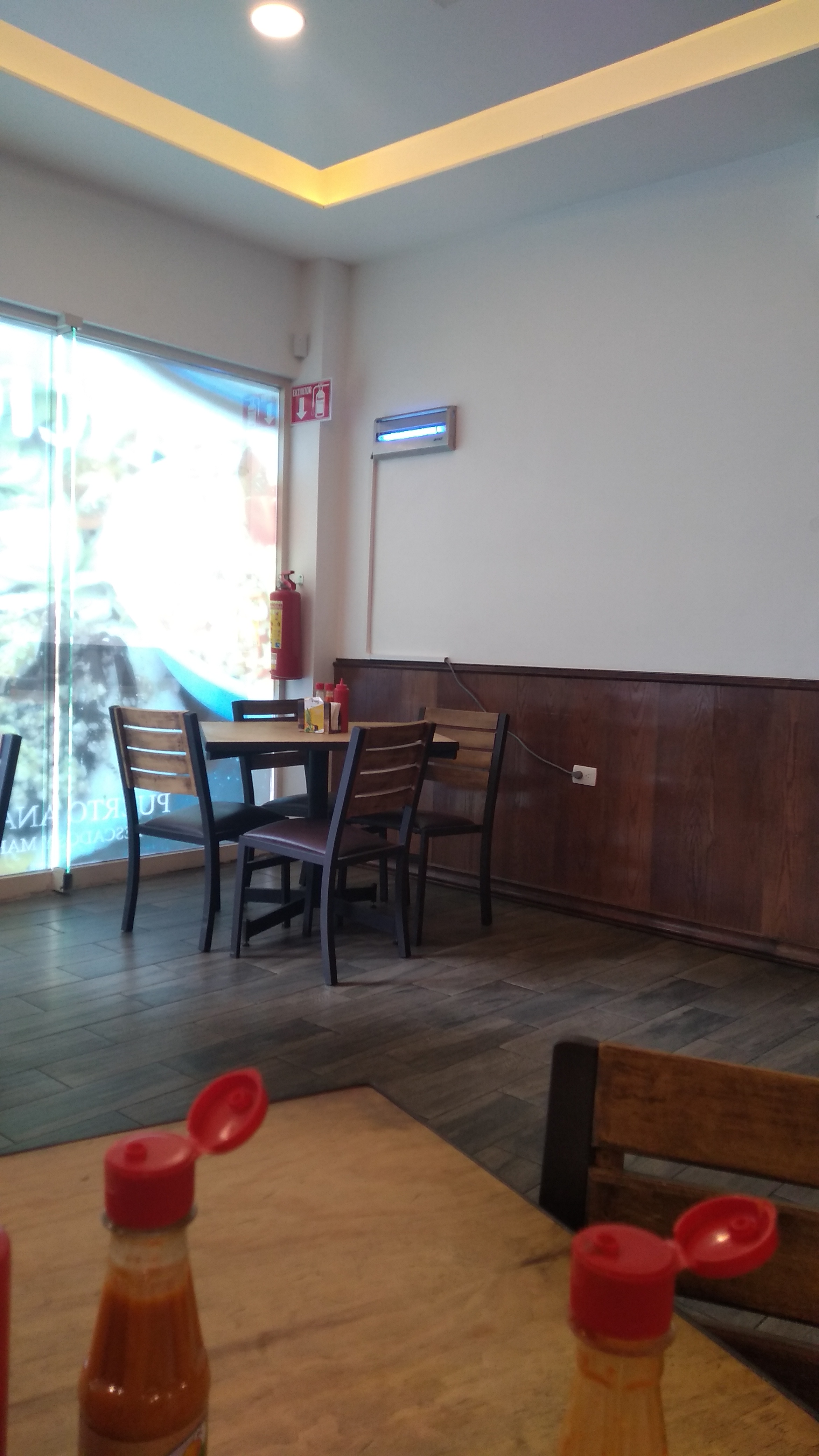 Puerto Anáhuac image 5