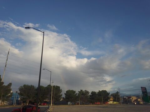 Little Caesars image 5