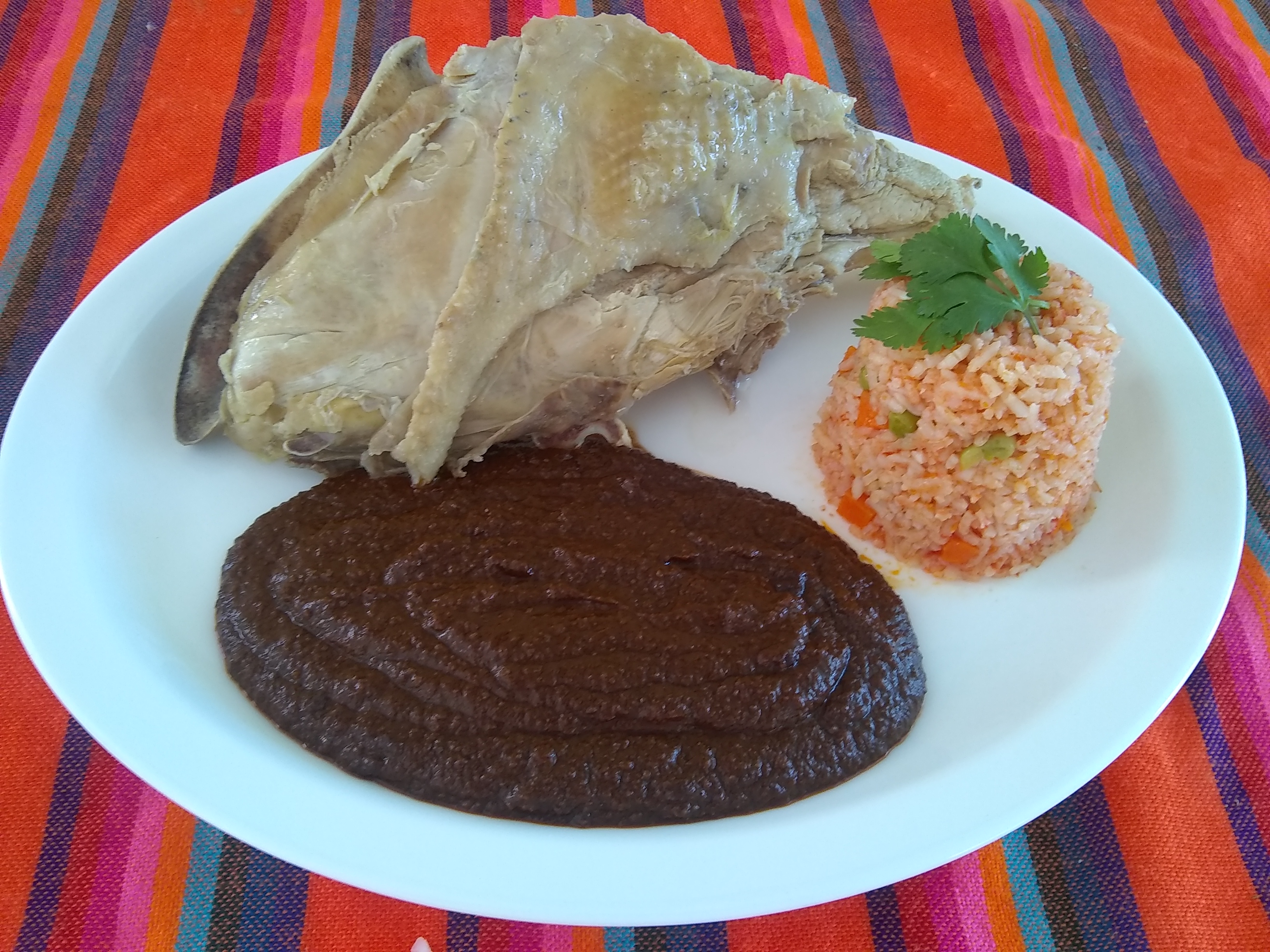 Mole Doña Chuy San Pablo Atotonilco image 4
