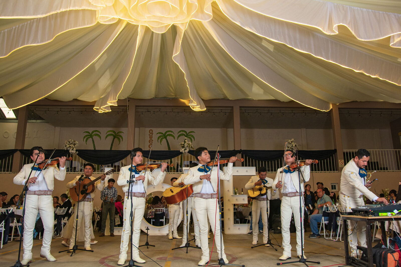 Salon social Las Palmas image 3