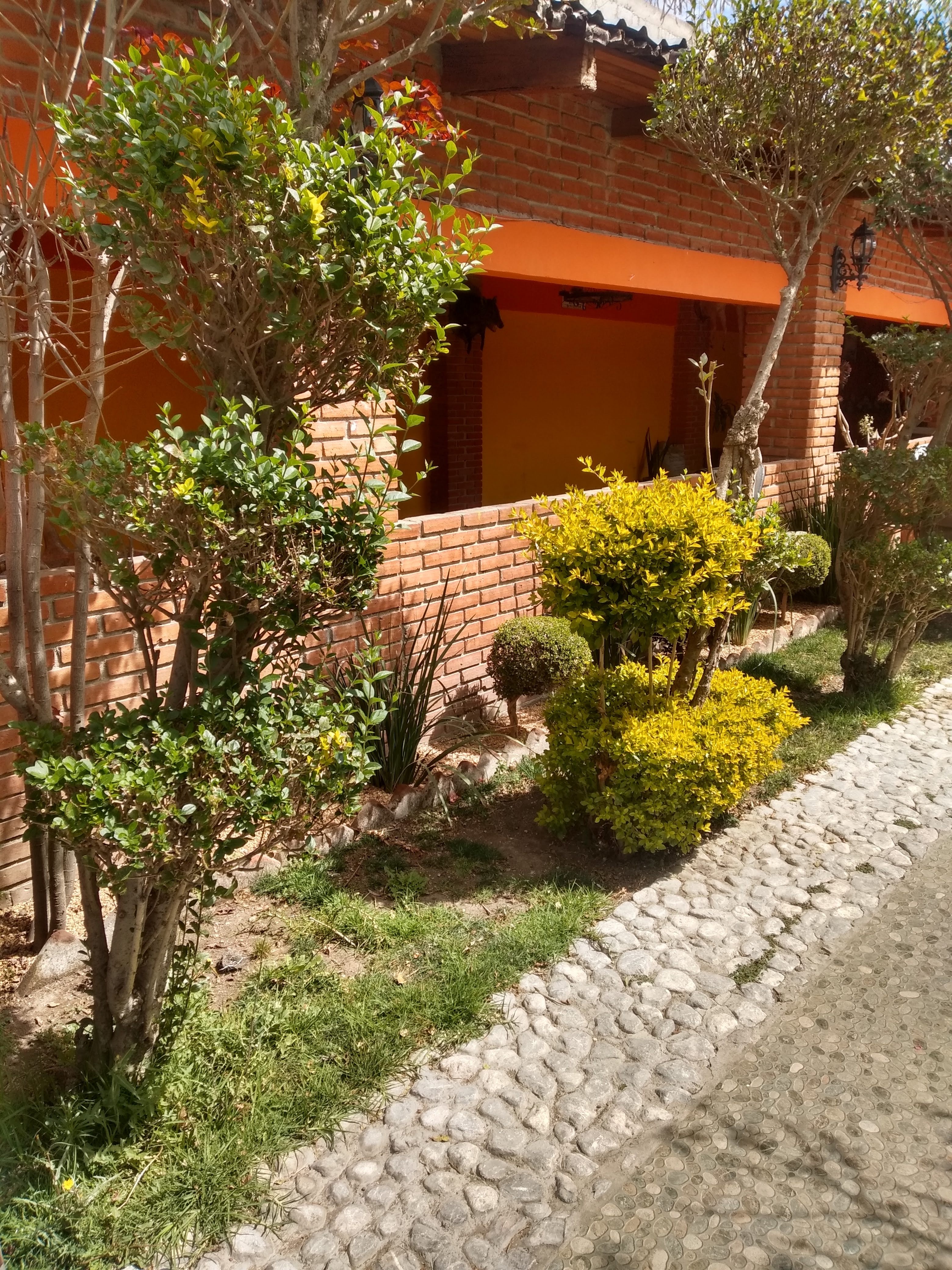 Marisquería Los Compadres image 5