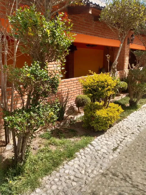 Marisquería Los Compadres image 5