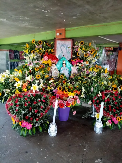 EL DIVINO NIÑO TRAILERO image 6
