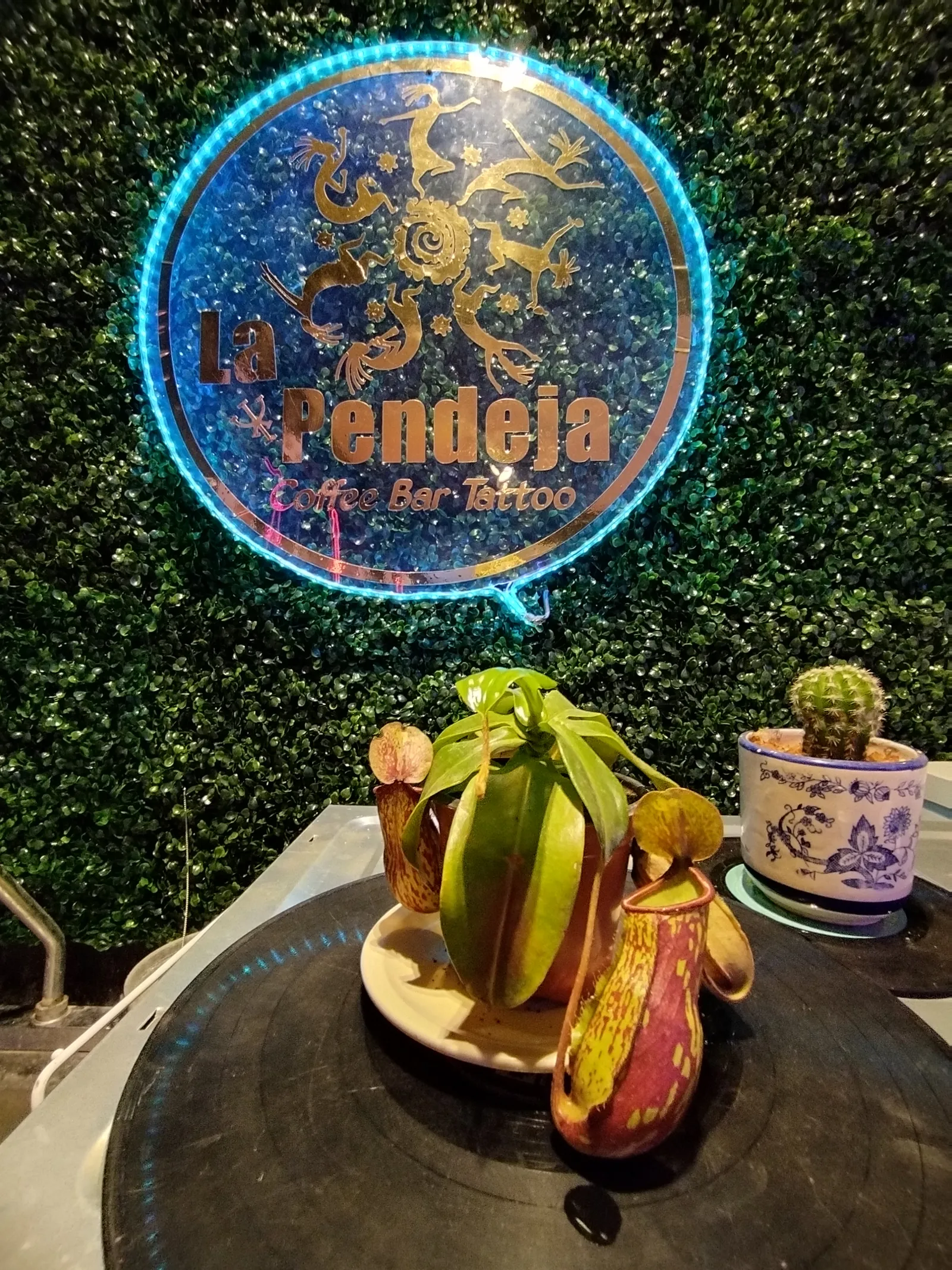 La Pendeja image 2