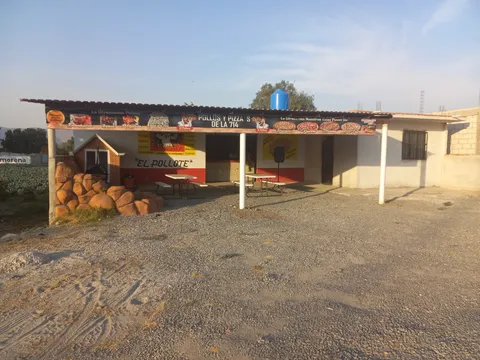El pollote image 8